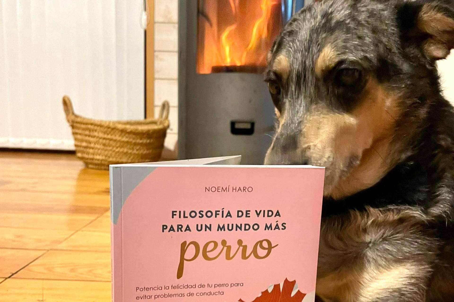 'Filosofía de vida para un mundo más perro', el libro de Ulises y Argos sobre educación canina de calidad