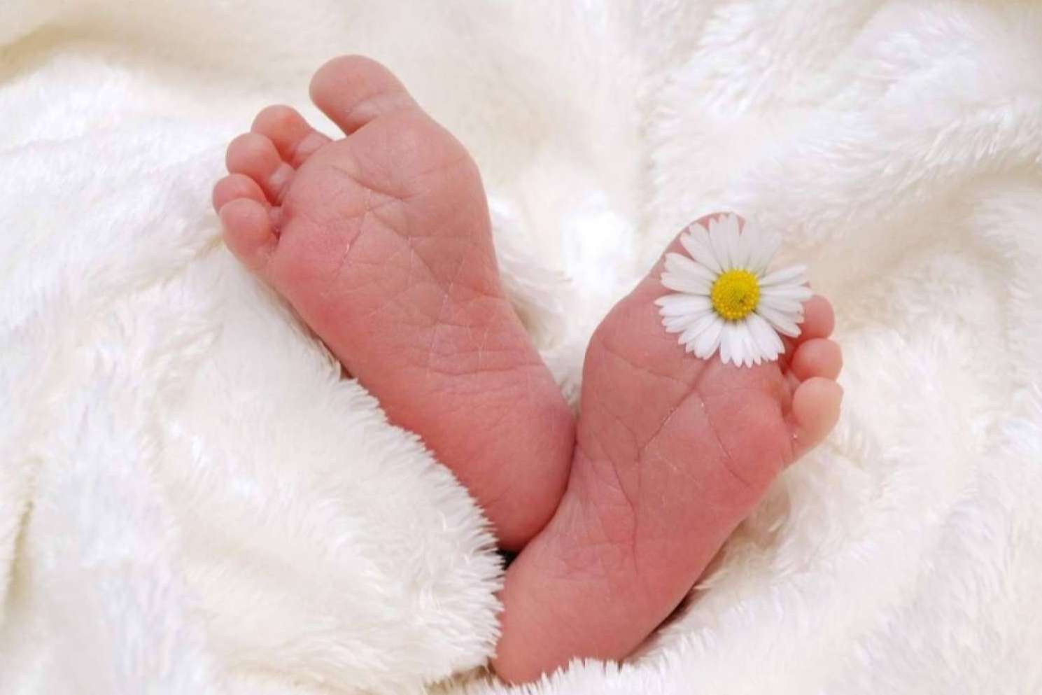 Acerca de la técnica de Inseminación Artificial (IA) Conyugal de la Clínica de Fertilidad Gaia