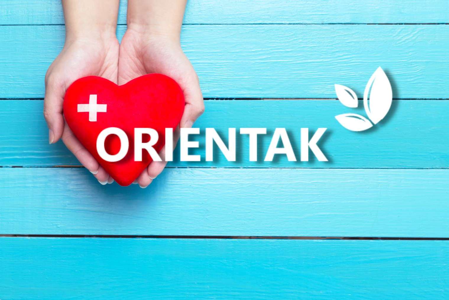 Hospital de día Orientak