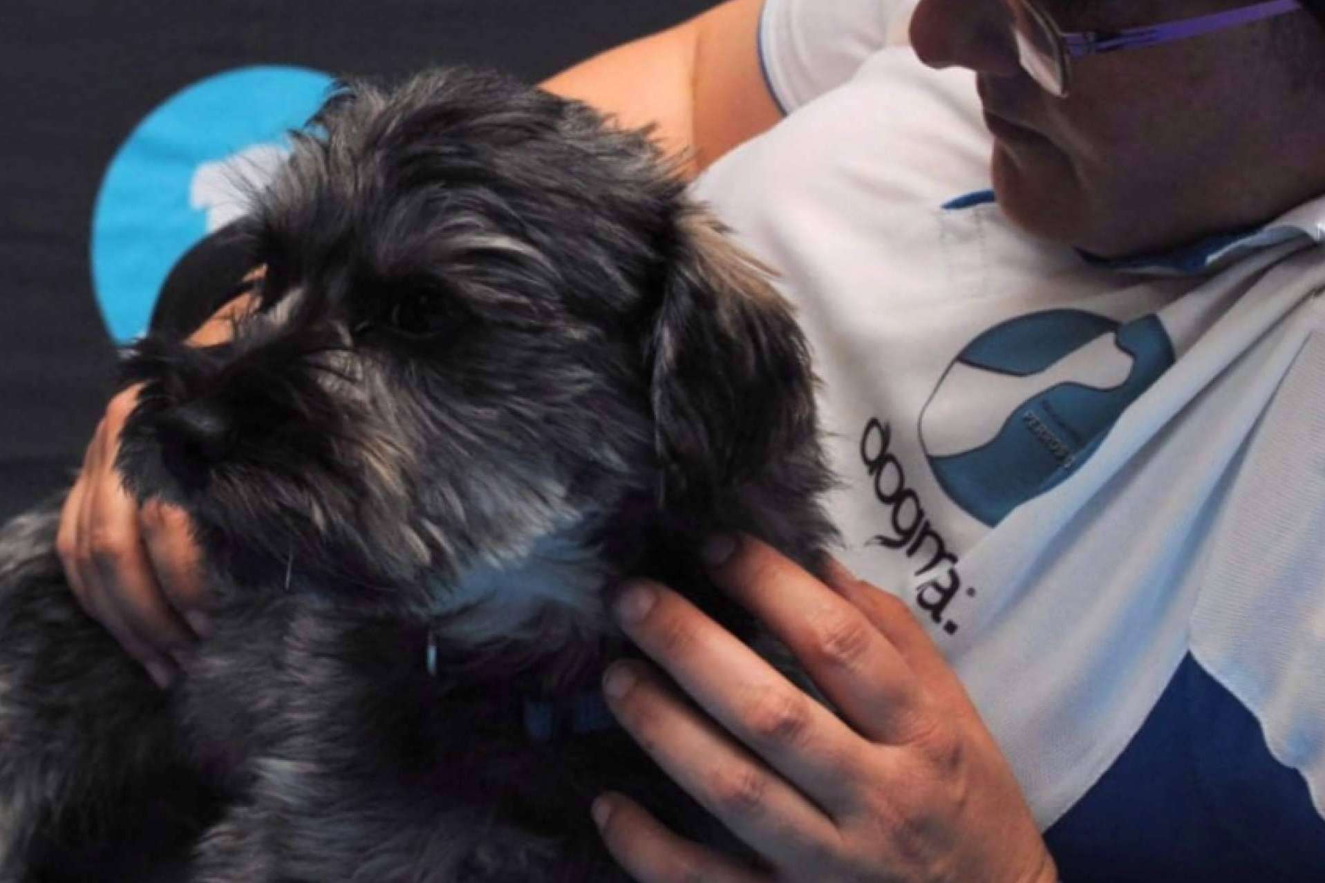 ¿Qué son los perros de apoyo emocional?, por AEPA