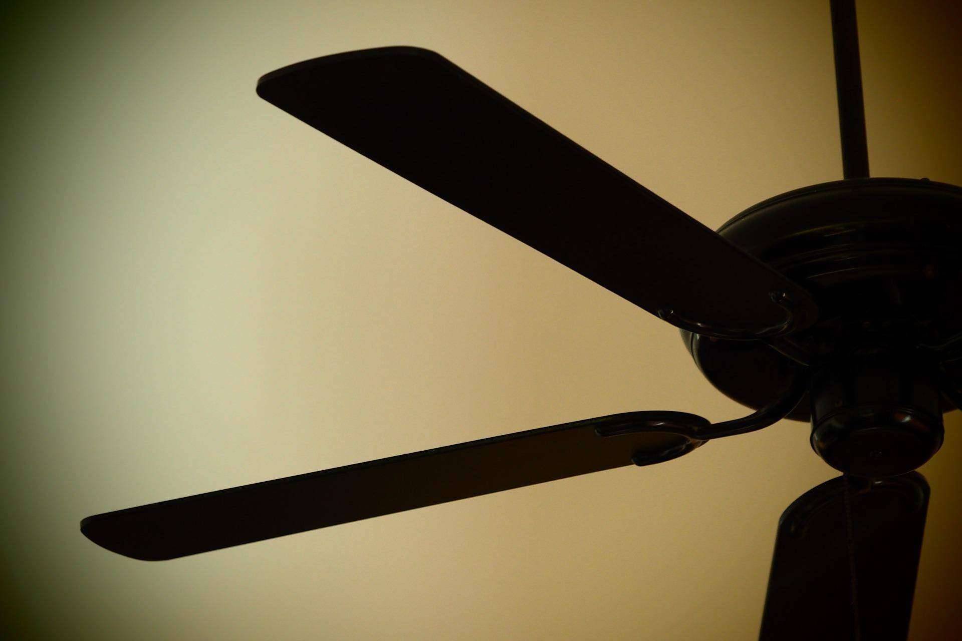 Los beneficios de los ventiladores para el hogar de la mano de Buychester