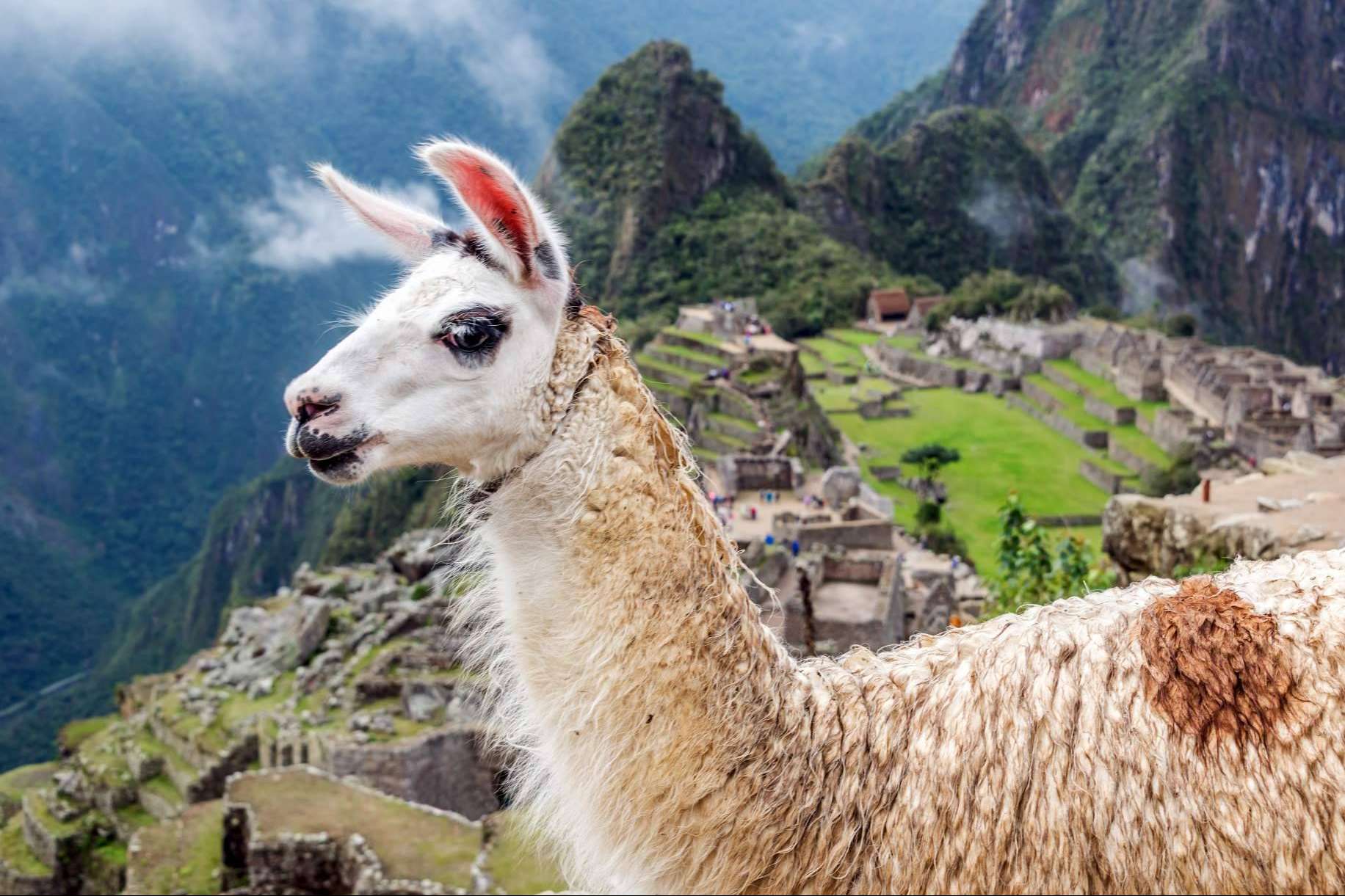 ¿Qué novedades presenta RevistaTourGourmet.com, la revista digital de Perú?