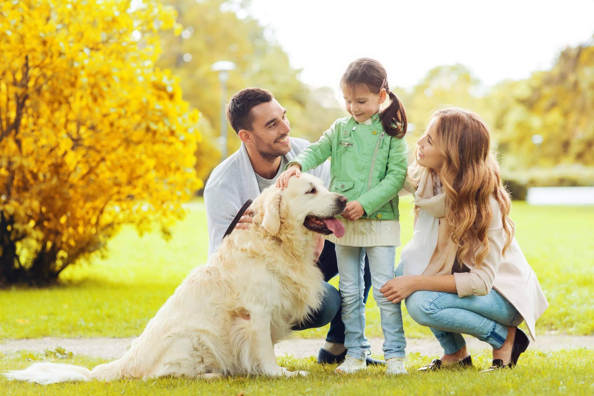 Entender el comportamiento de los animales de compañía es esencial para mejorar la convivencia con ellos