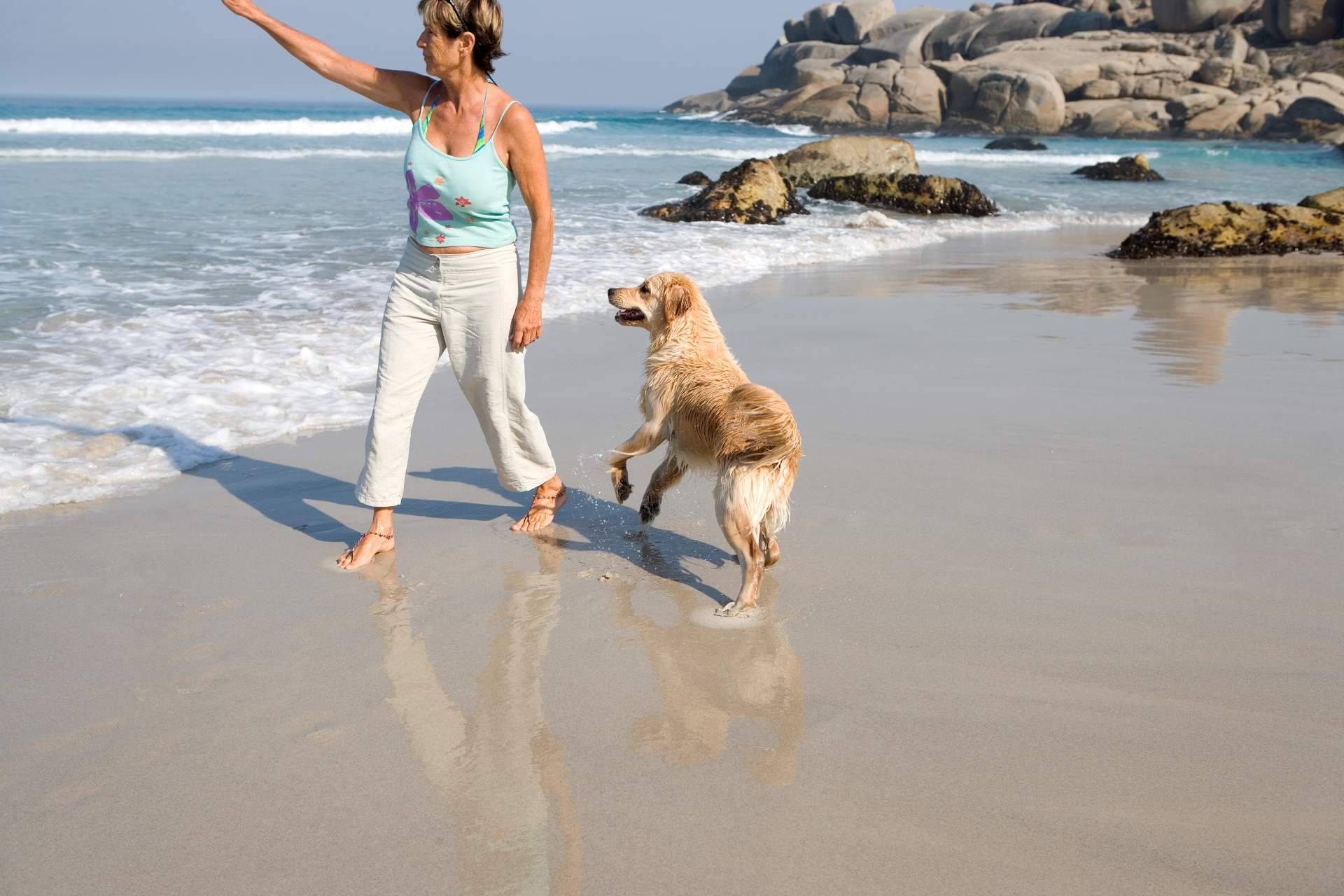 Evitar que las protectoras colapsen adoptando perros en verano