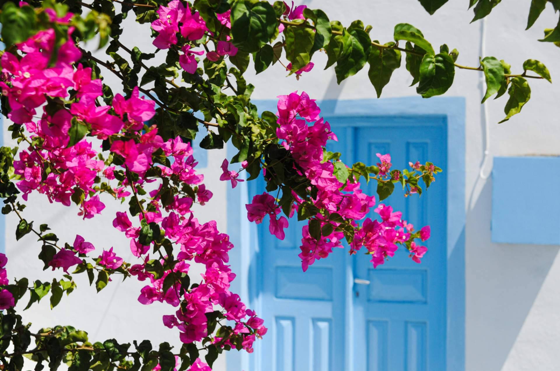 En qué consiste el home staging vacacional