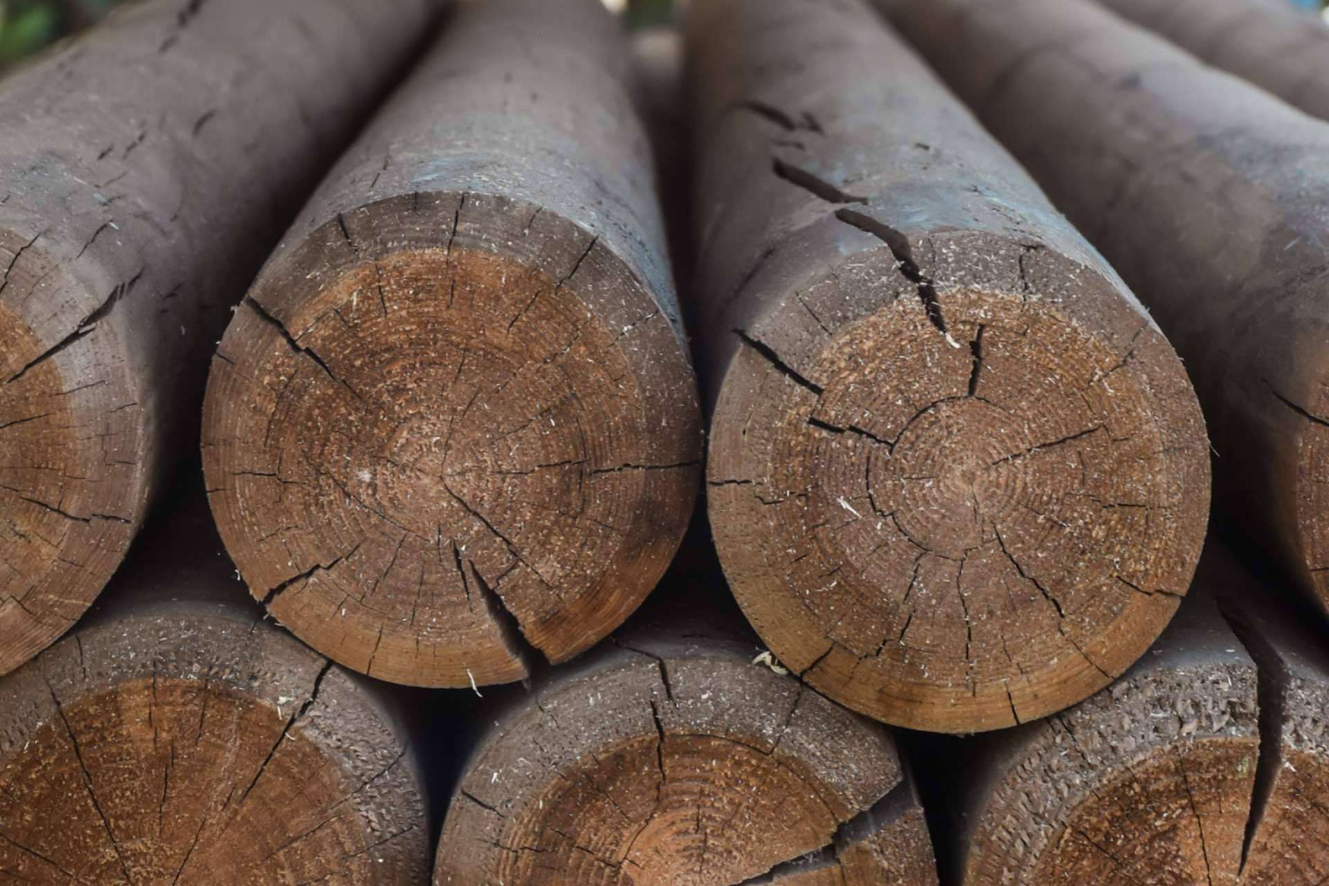 La mejor madera para los muebles, según Maderas Gámez