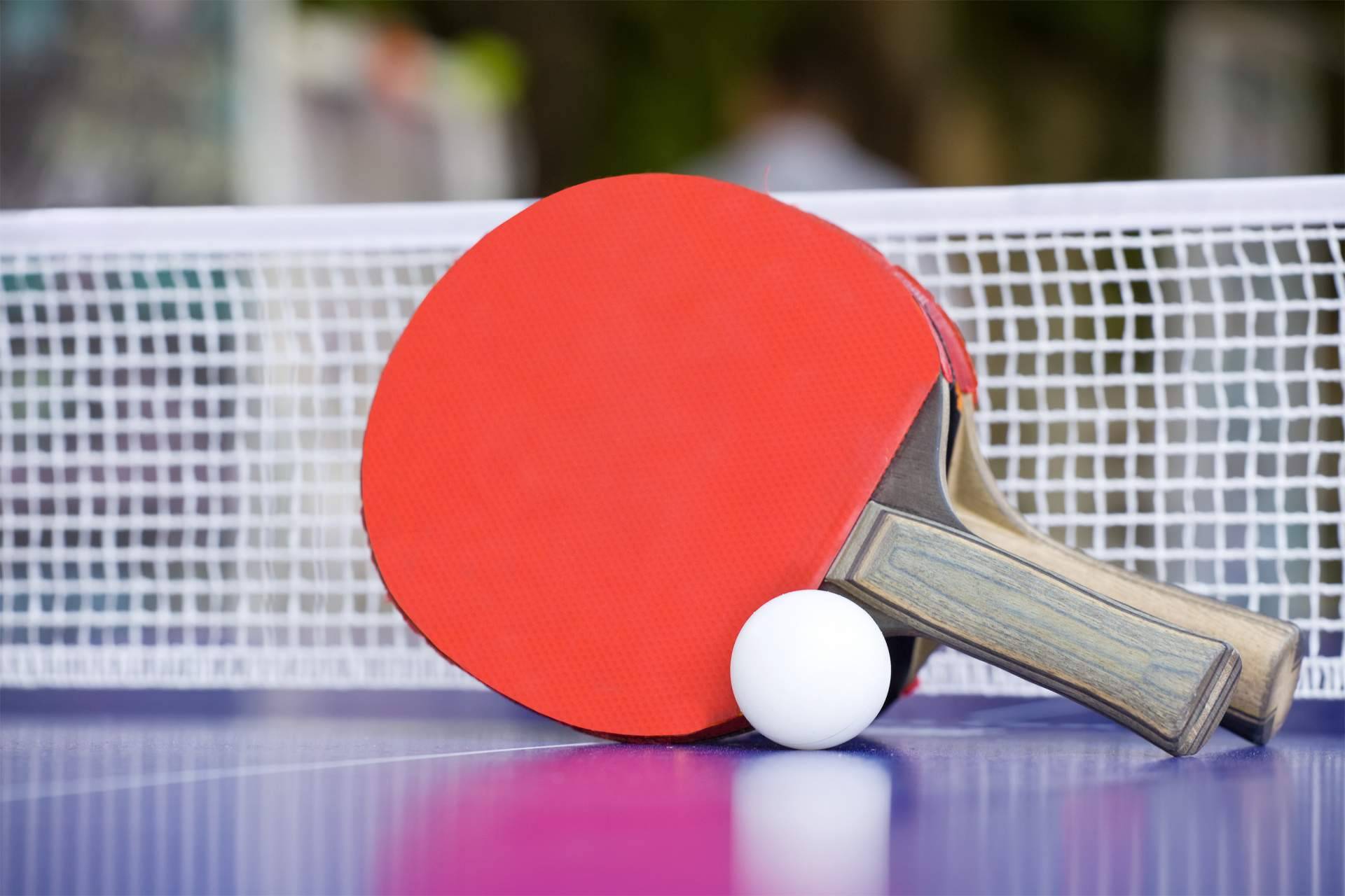 SPORT AND TREND dispone de un amplio catálogo de productos para practicar el tenis de mesa