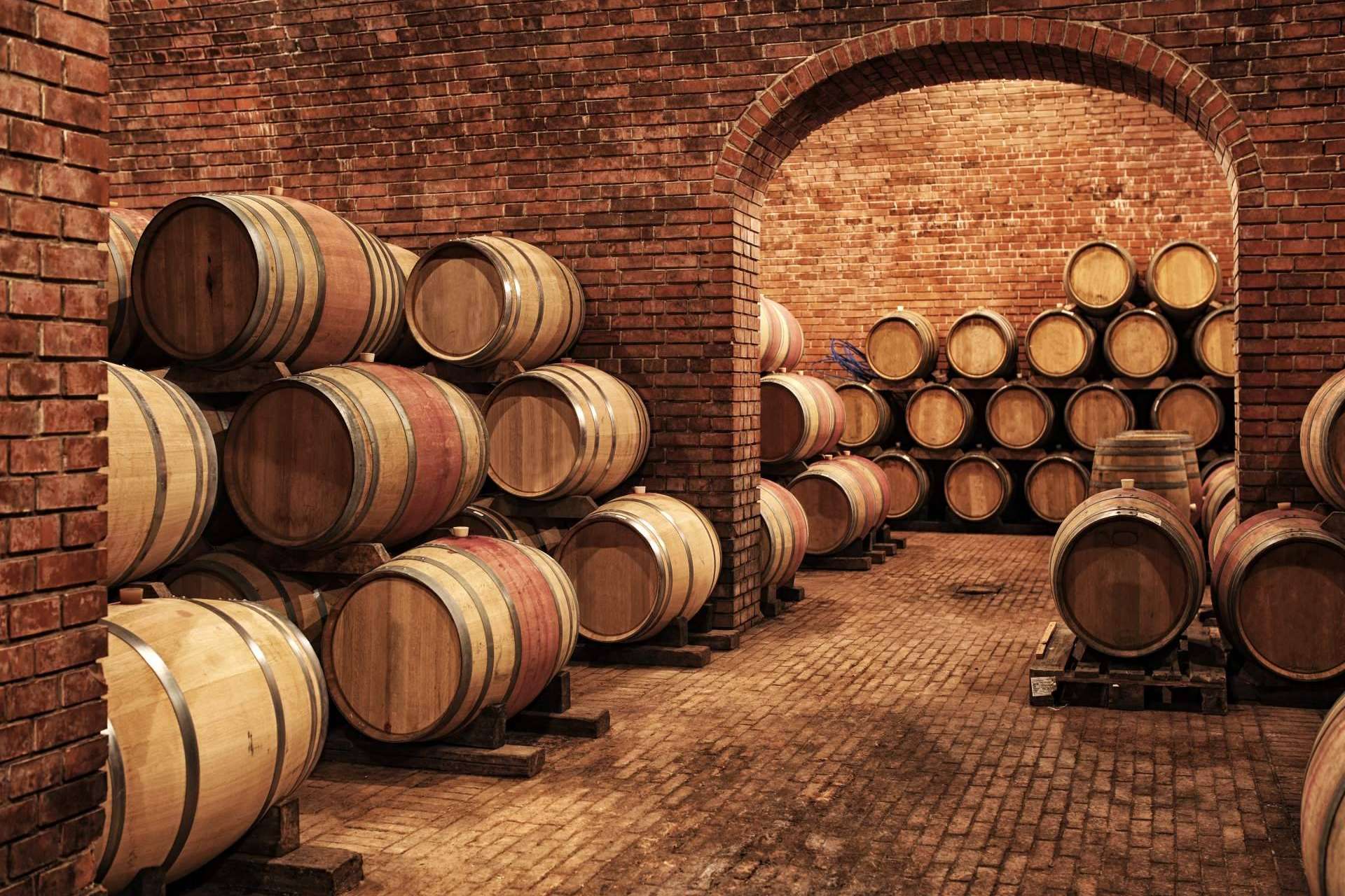 Optimizar las estrategias de marketing a través de las bases de datos de bares y bodegas de vino en España que ofrece BancoDatos
