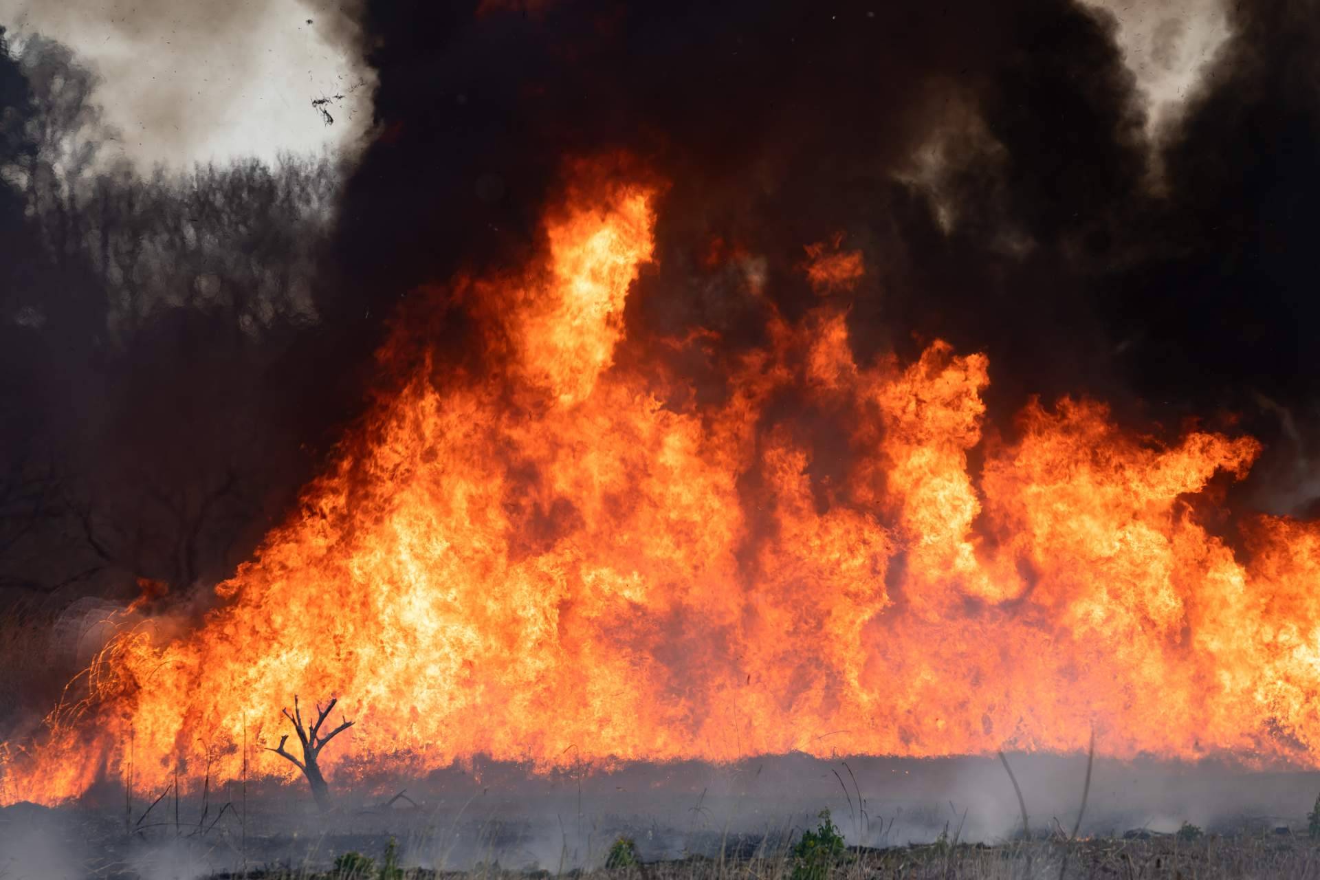 ¿Cómo prevenir los incendios forestales en Mijas?, por #SoydeMijas
