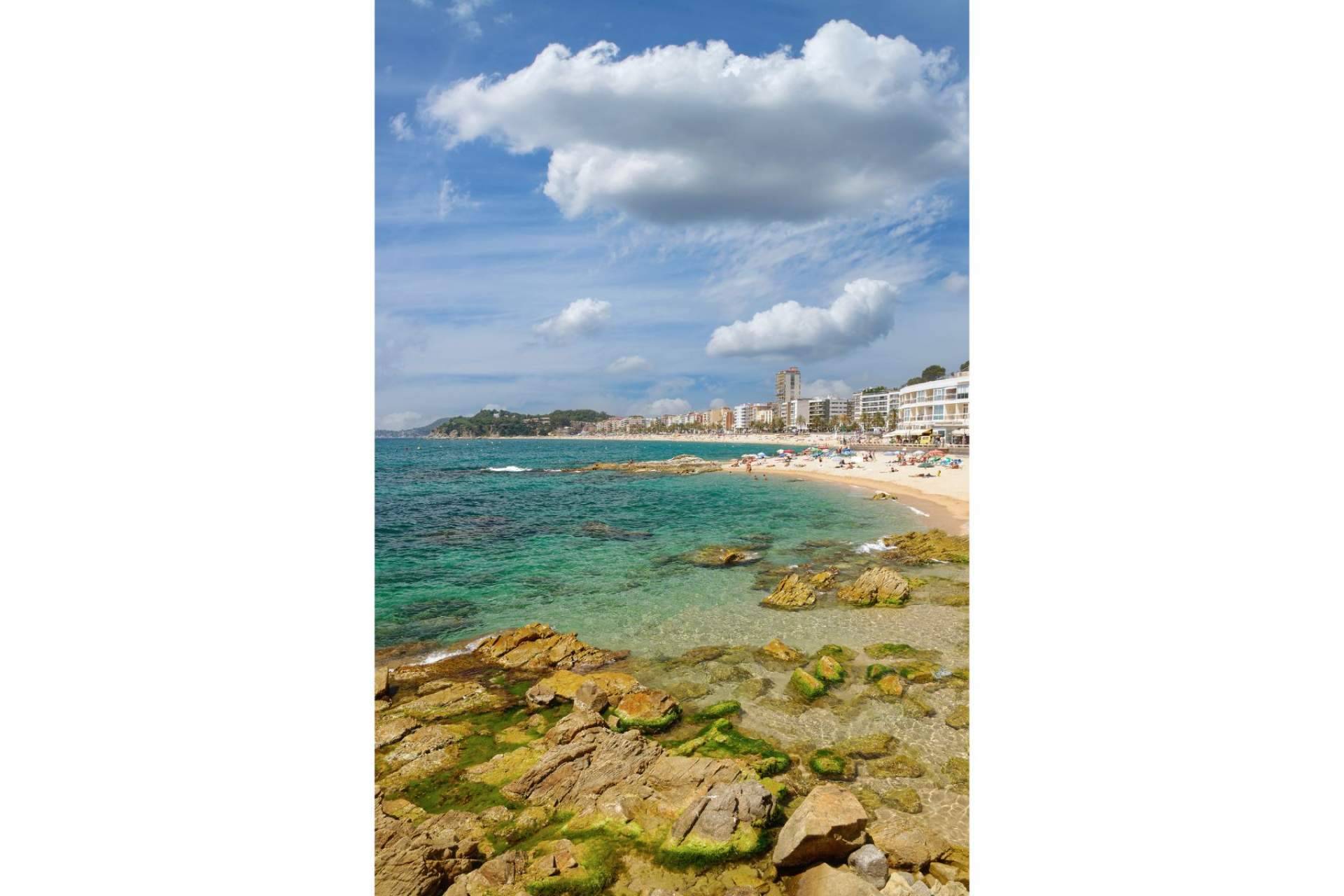 Viajes a la playa en autocar