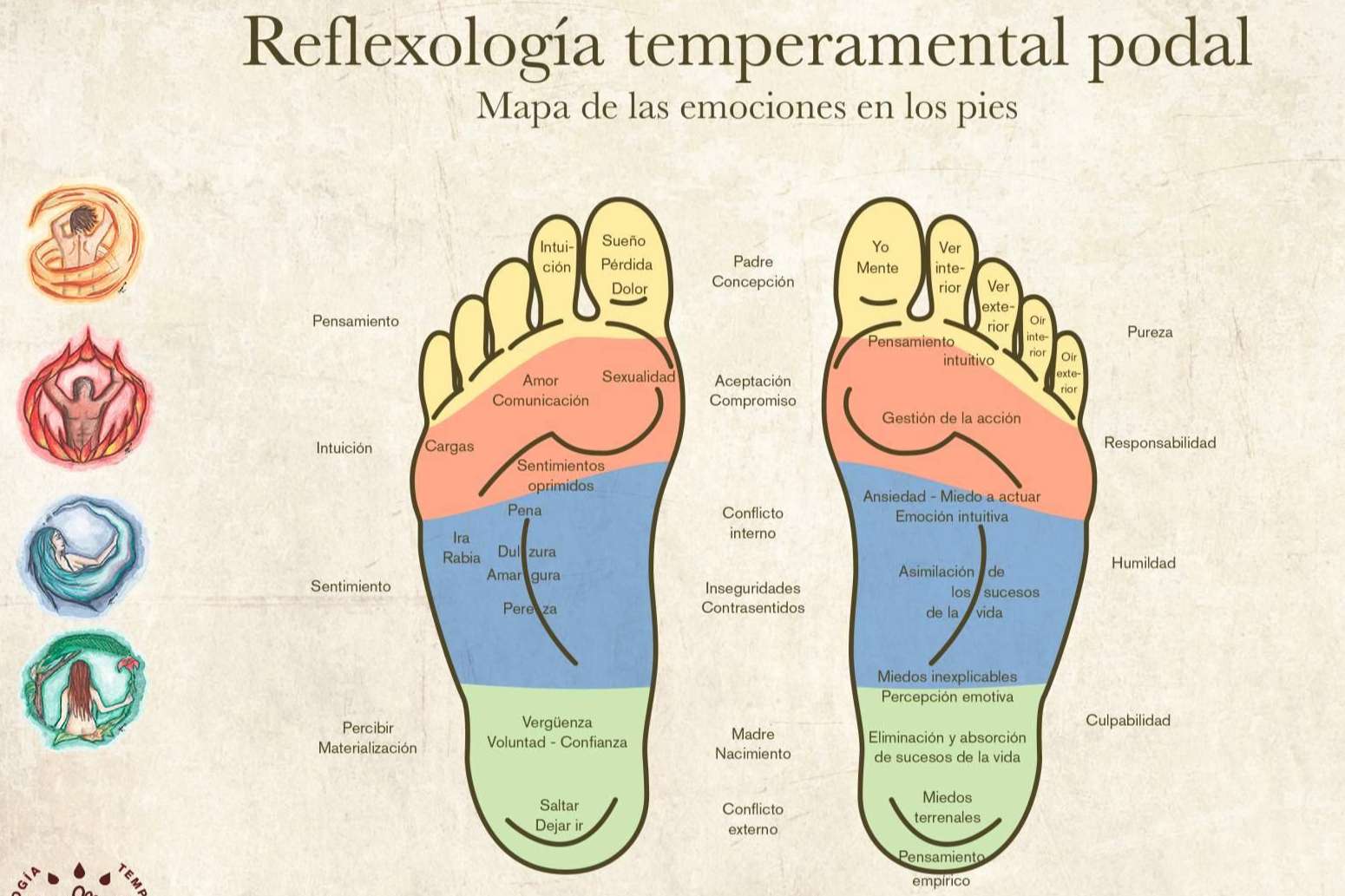 ¿Qué es la reflexología podal evolutiva y cuáles son sus beneficios?, por Rafi Tur