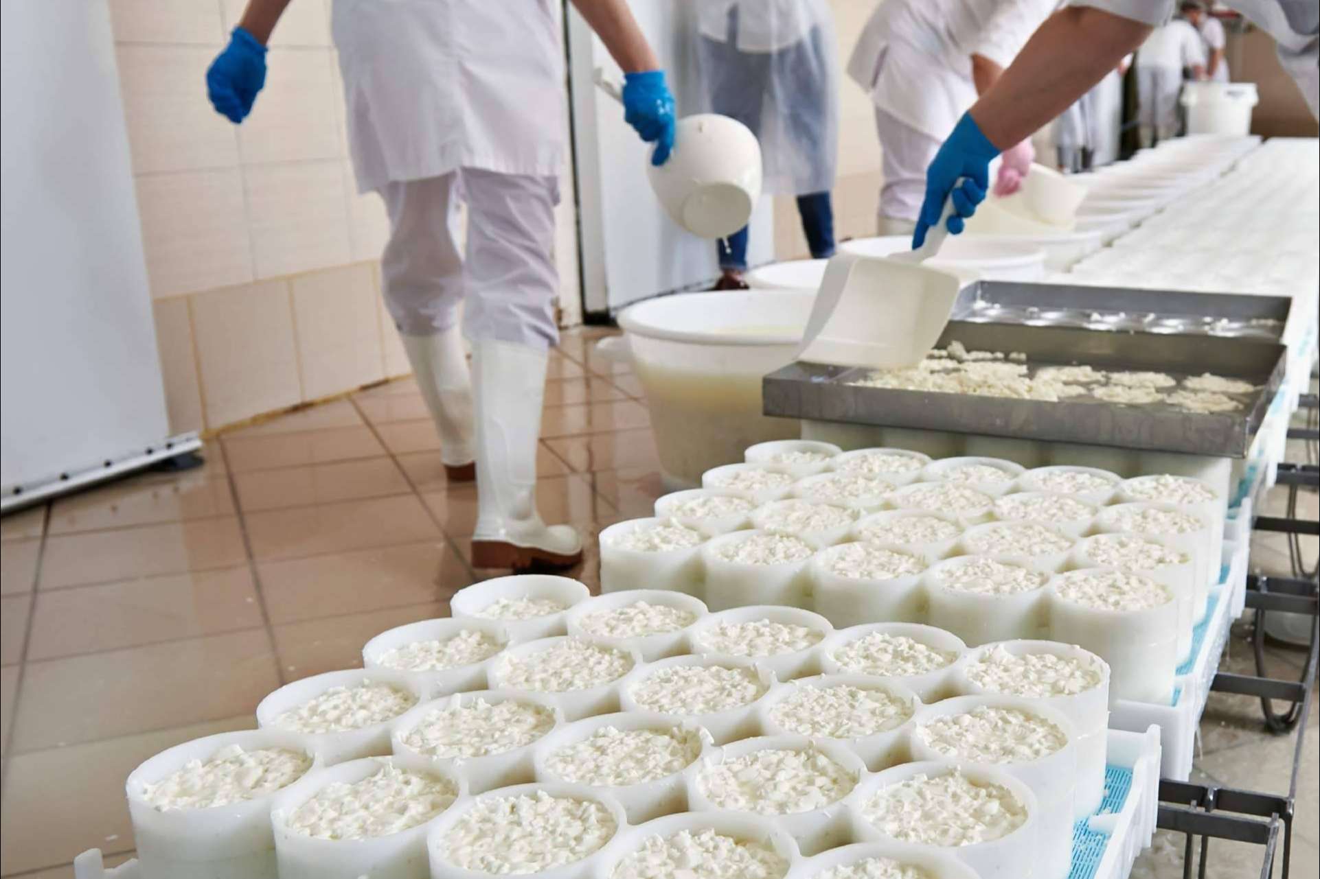 Alba Ibs ha diseñado un software para queserías y fabricantes de lácteos