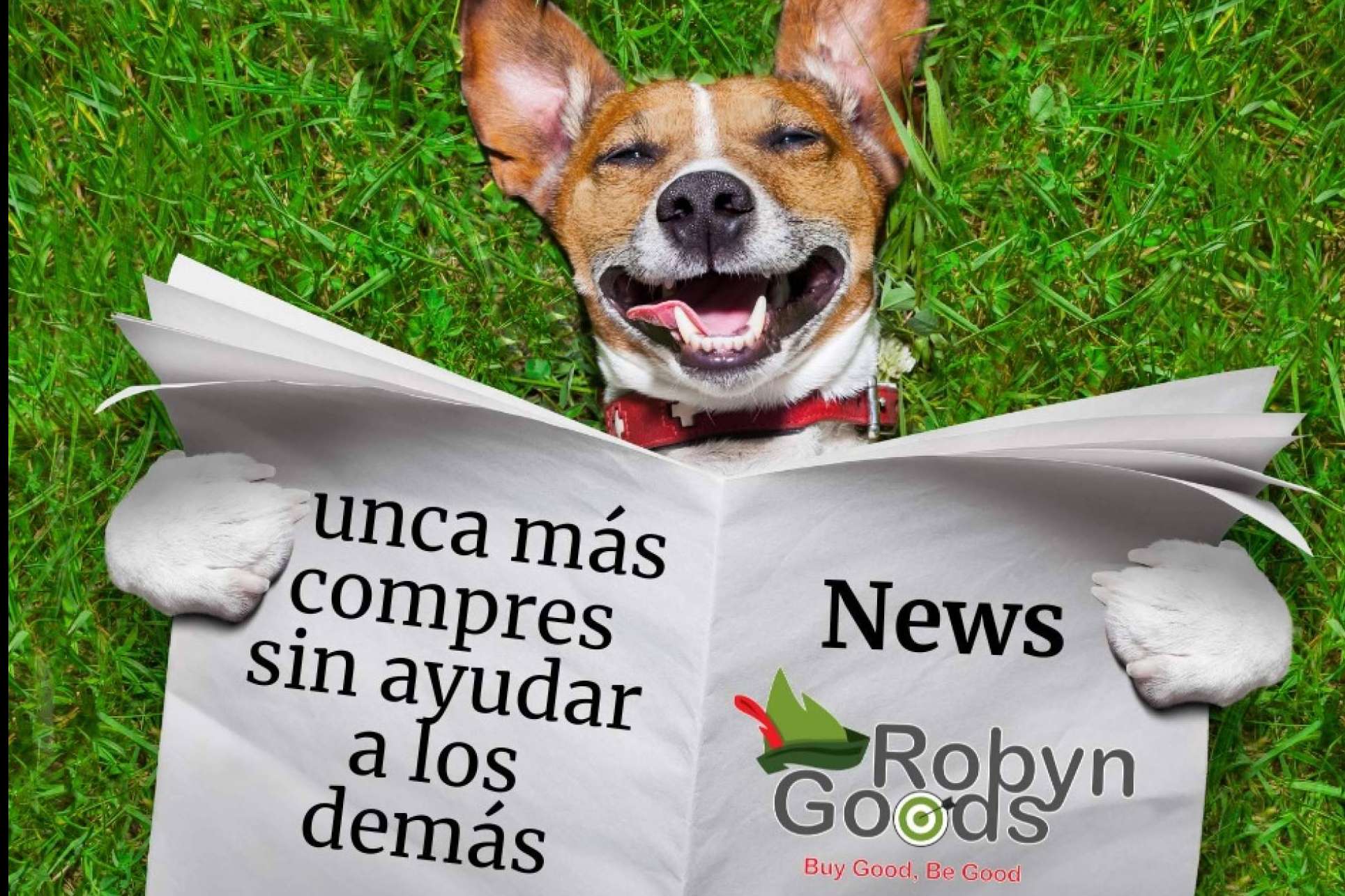 El marketplace RobynGoods promueve la solidaridad en cada compra