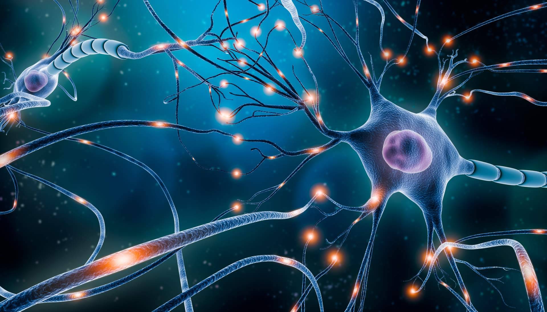 Las técnicas de Neurociencia aplicadas al aprendizaje de ILVEM