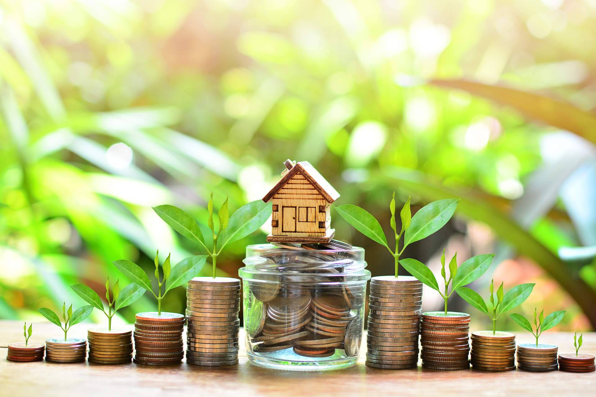Invertir en inmuebles, una excelente opción para ganar dinero sin riesgos