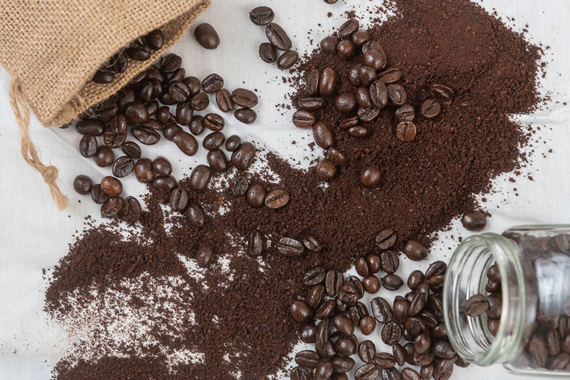 Próximamente, los productos de calidad de Cafés Legend estarán disponibles en Amazon