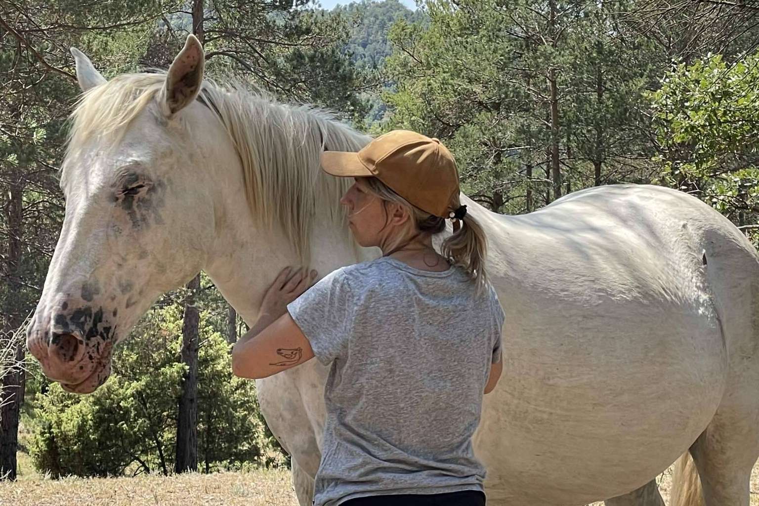 ¿Qué beneficios aportan los caballos libres al desarrollo de la inteligencia emocional?