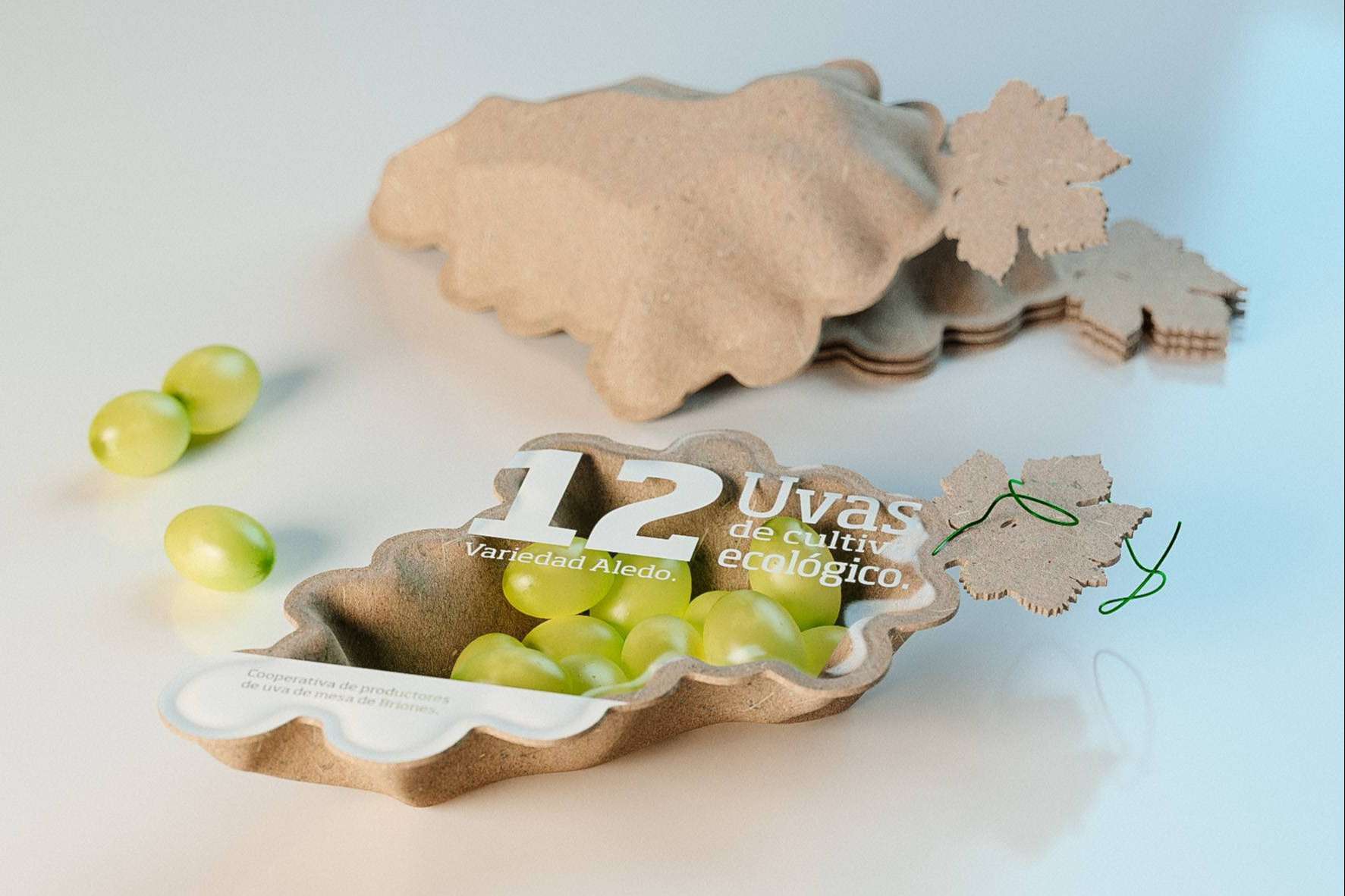 El packaging del producto, una parte con mucha importancia