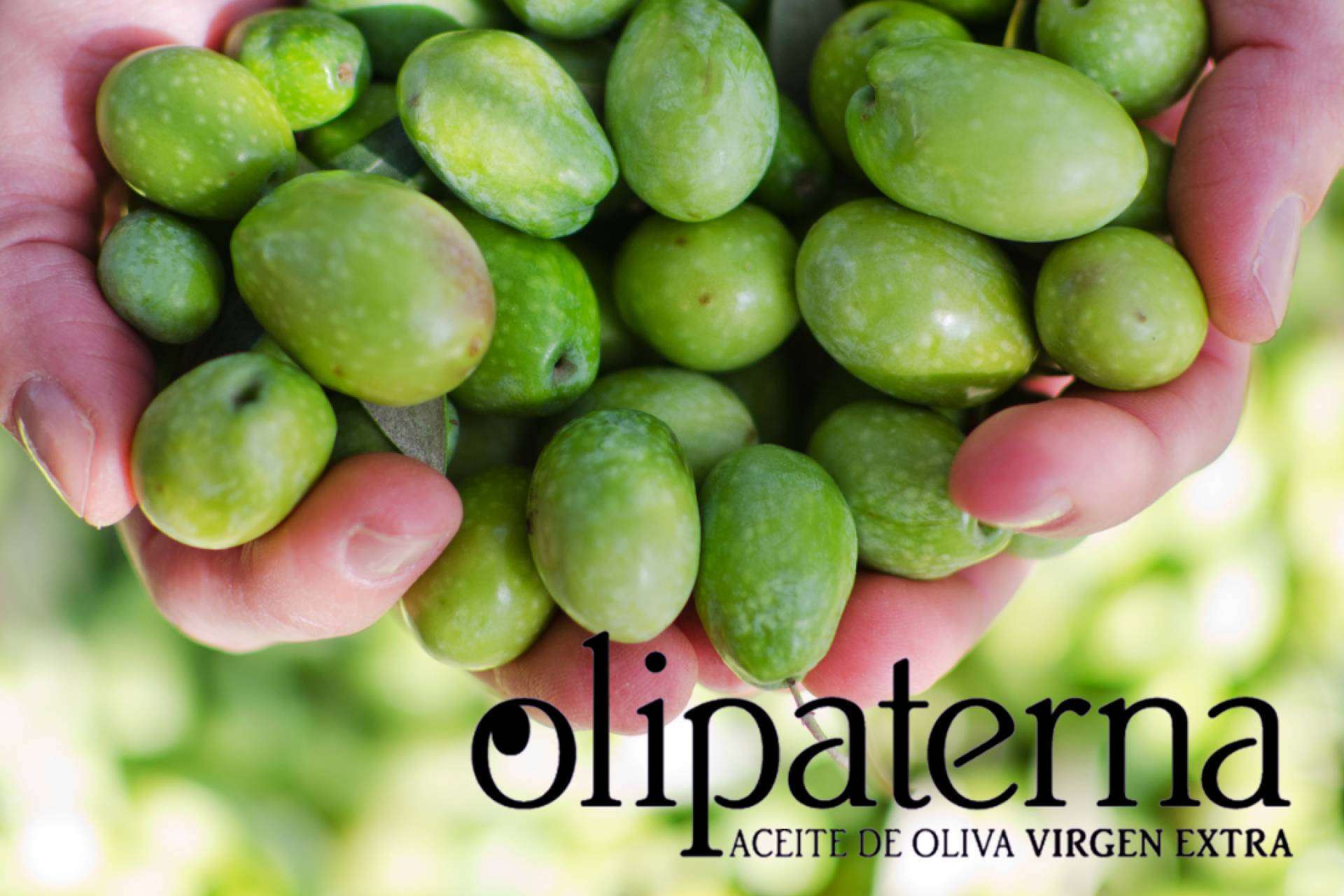 Las recetas saben mejor con el AOVE de Olipaterna