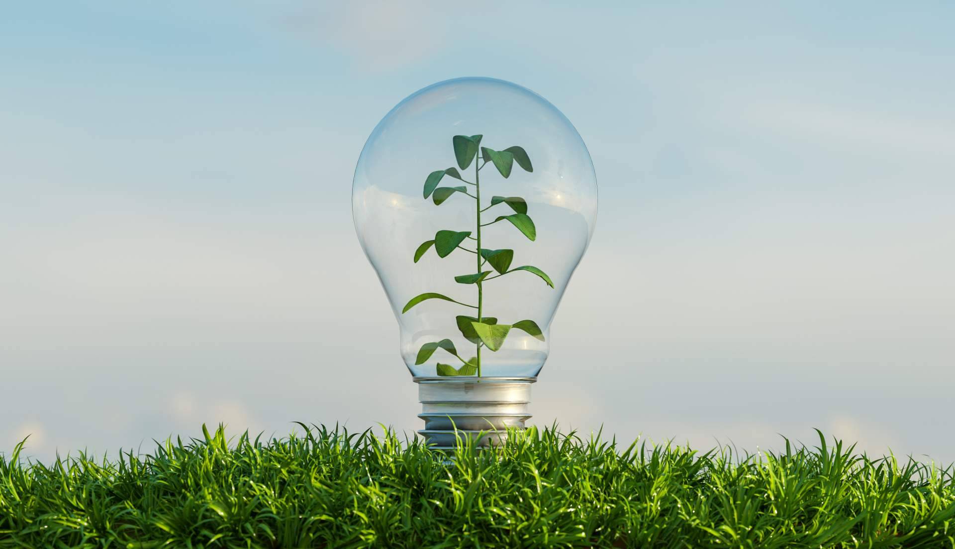 ¿Cómo tramitar las subvenciones de eficiencia energética? SATE Mediterráneo