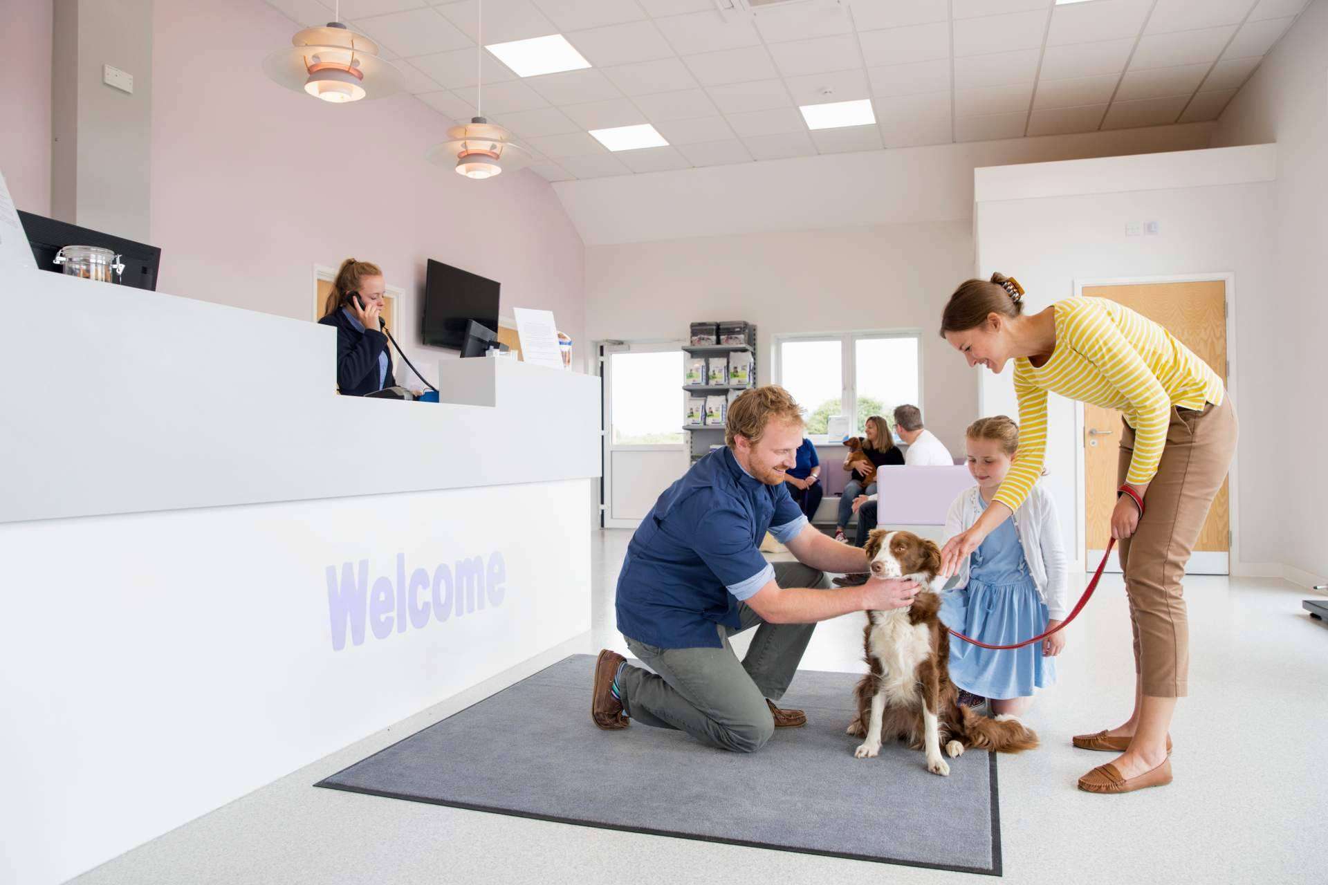 Los seguros de mascotas de Barkibu para perros y gatos