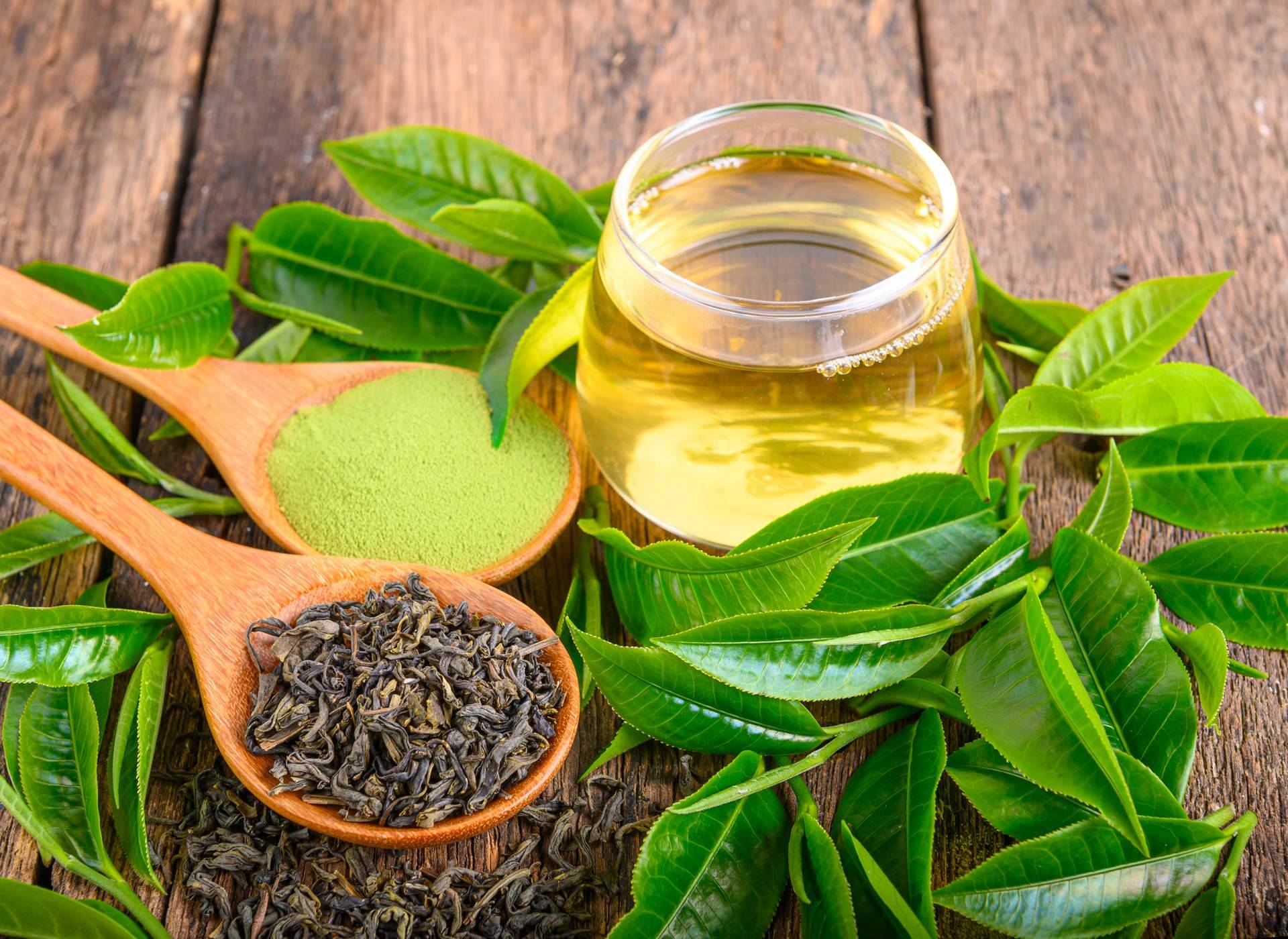 Reishi Gano Té DXN, cuáles son las propiedades del té con ganoderma