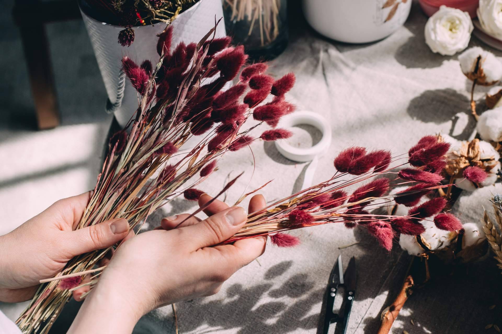 Floueri y su tienda online de flores secas y preservadas a tallo