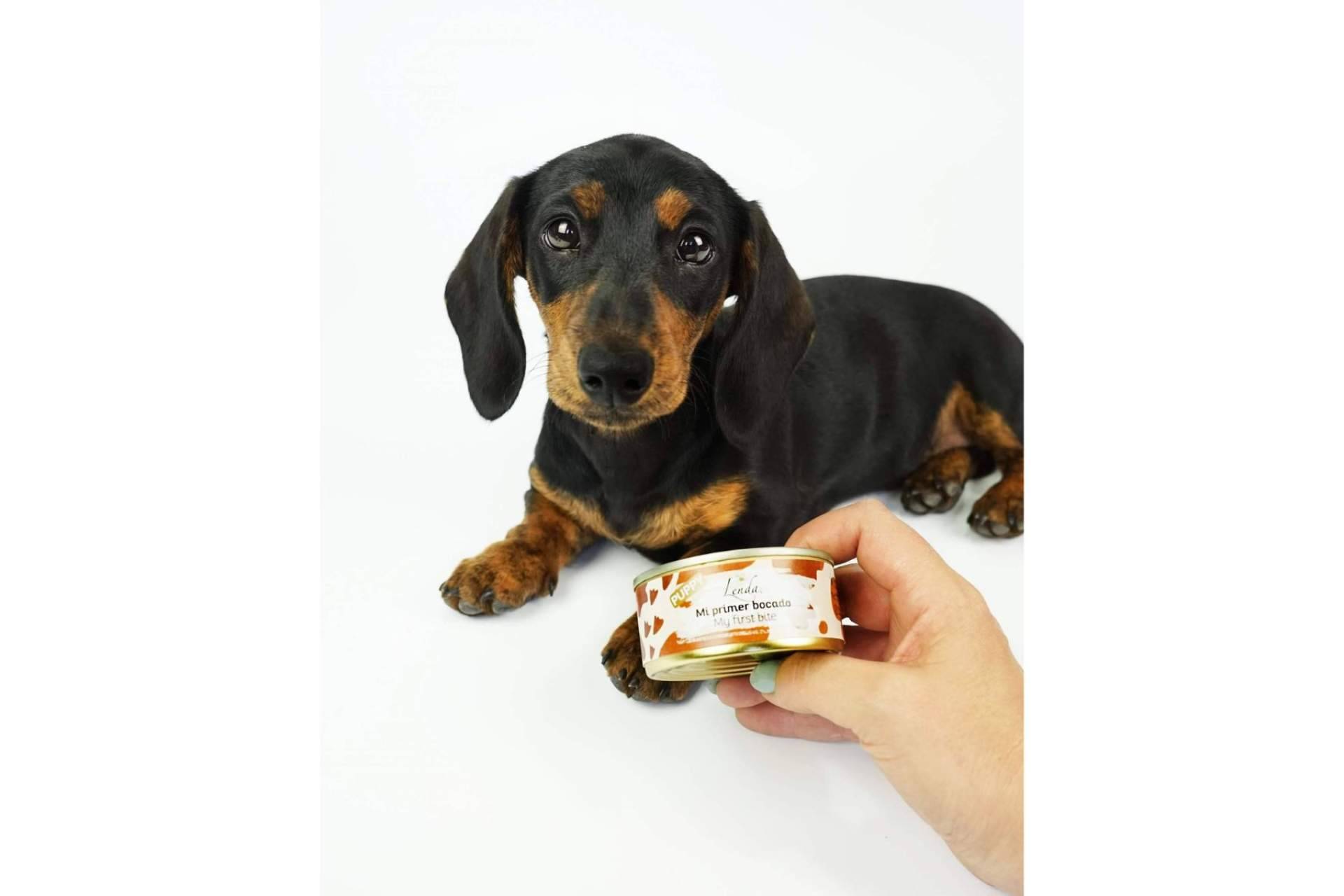 Menú degustación de Lenda para cachorros