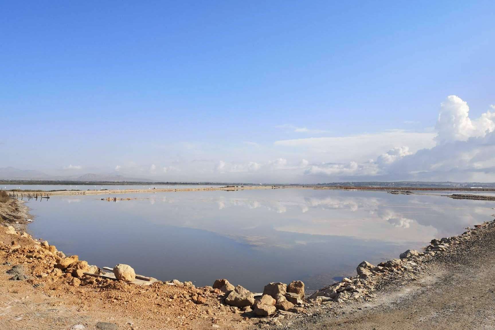 Una de las sales más sostenibles es la sal marina ecológica