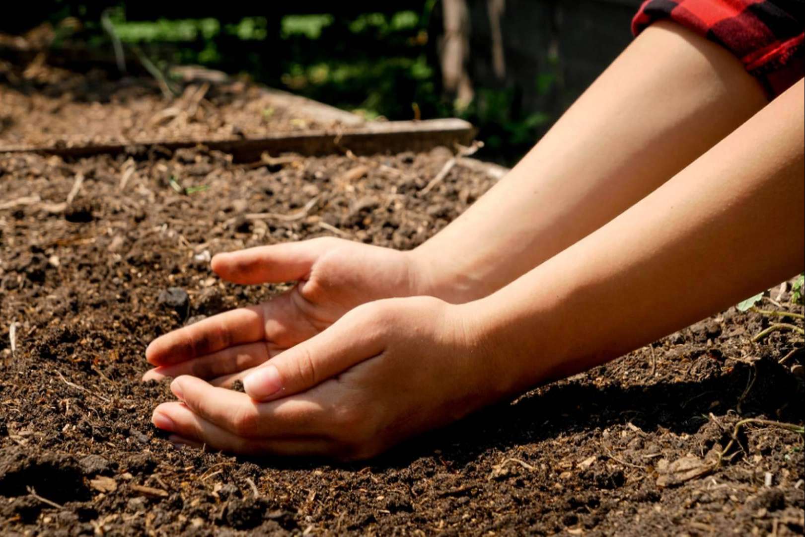 La importancia de la agricultura sostenible, de la mano de Saboranaranjas.com