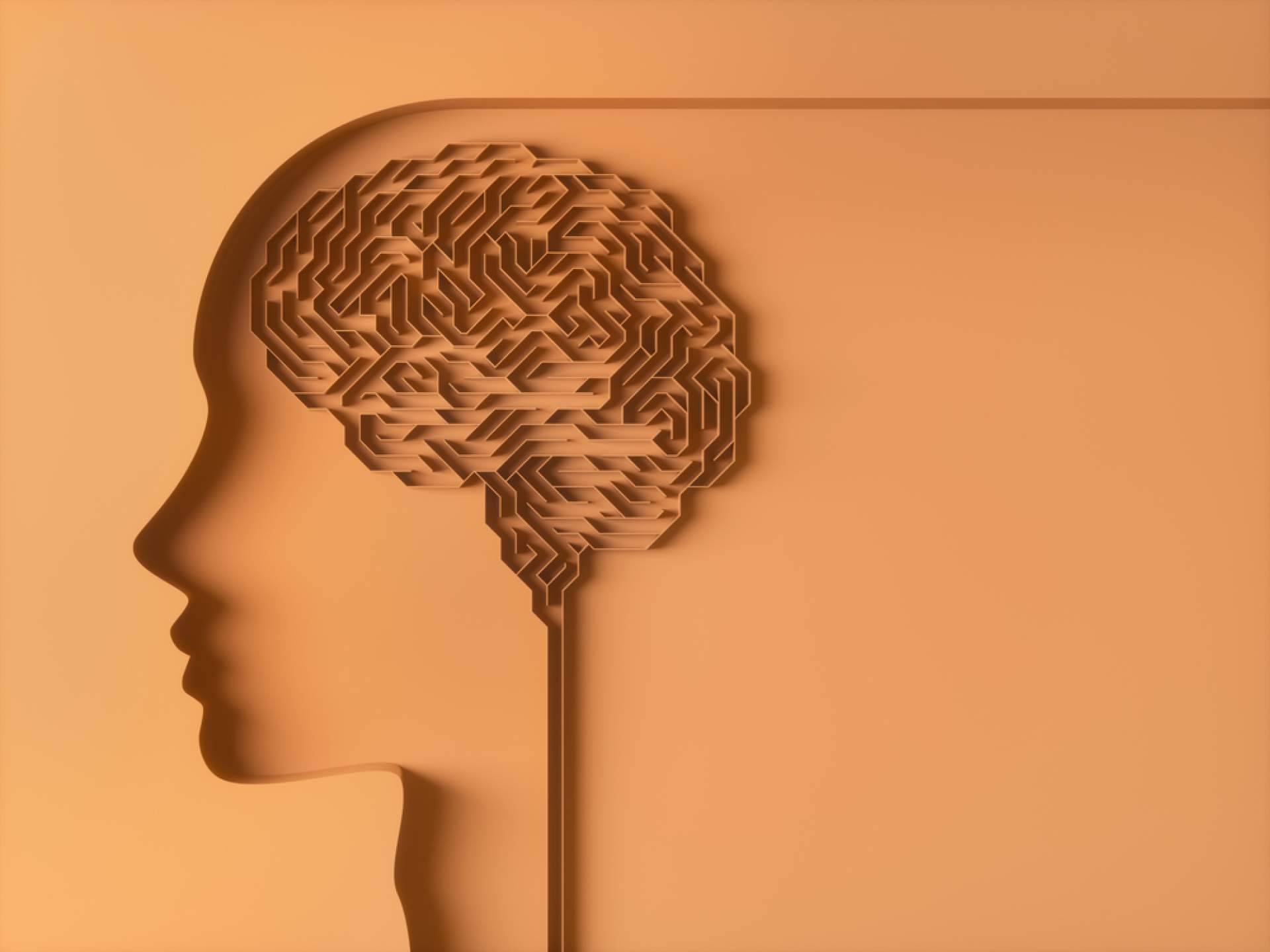 INIMA Rehabilitación enseña la importancia de la estimulación cognitiva