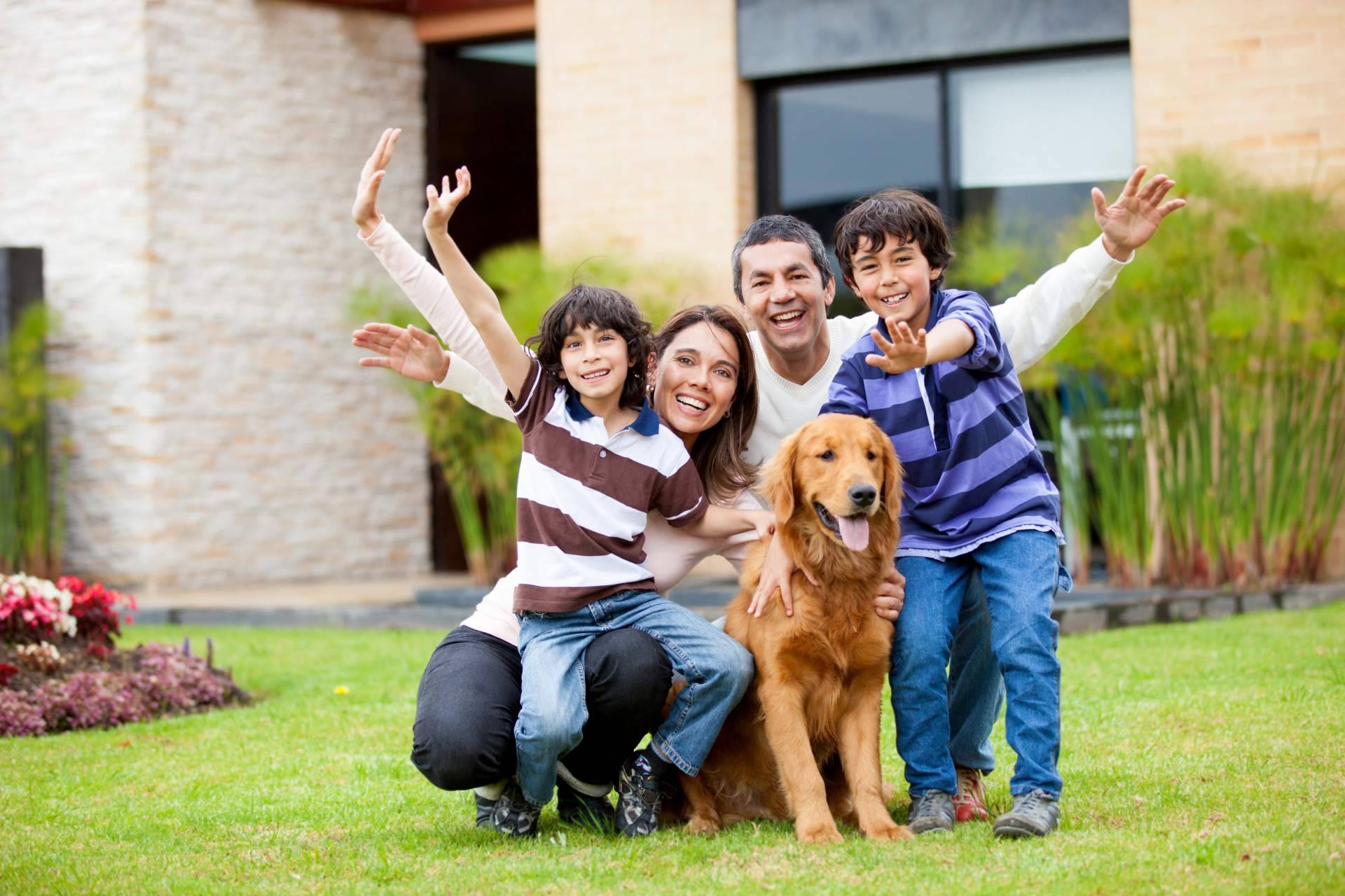 ¿Qué es y cómo funciona un seguro para mascotas?, por Barkibu