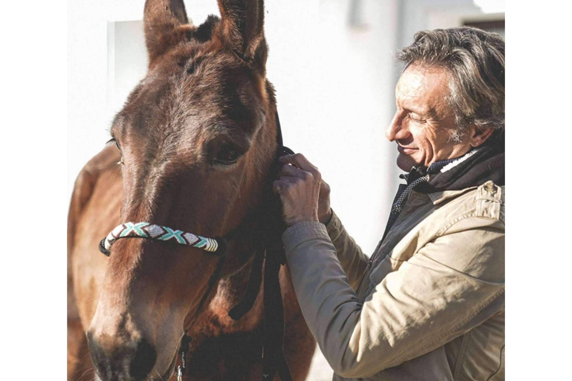 Los beneficios físicos y mentales de pasear a caballo, por Maktub Bohemian Rides