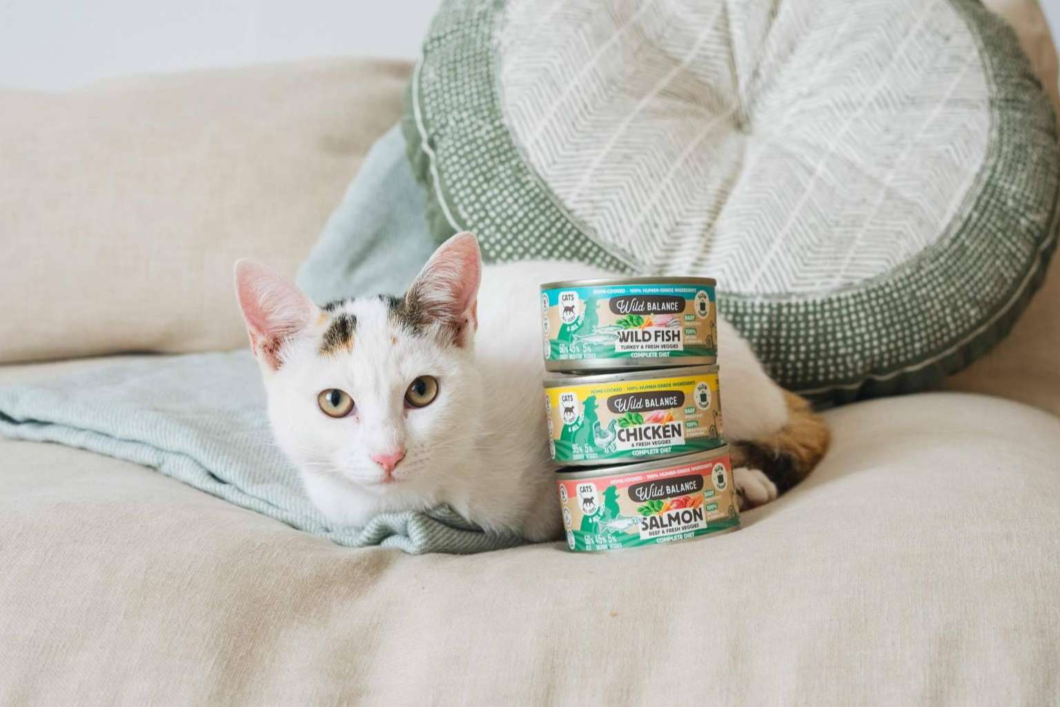 El mercado de la alimentación para mascotas se revoluciona con el lanzamiento del BARF cocinado al vapor en lata de Wild Balance