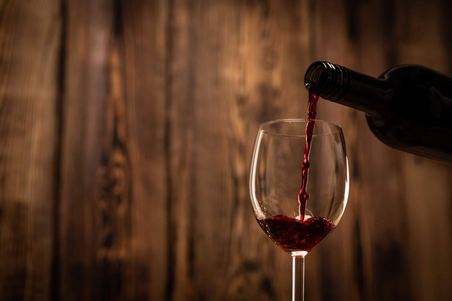 Una de las vinotecas con más vinos únicos de España, La Tintorería