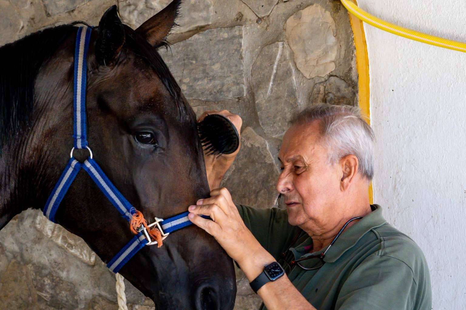 Yeguada Encinasola es el centro en el que es posible cuidar de la salud tanto de jinetes como de caballos