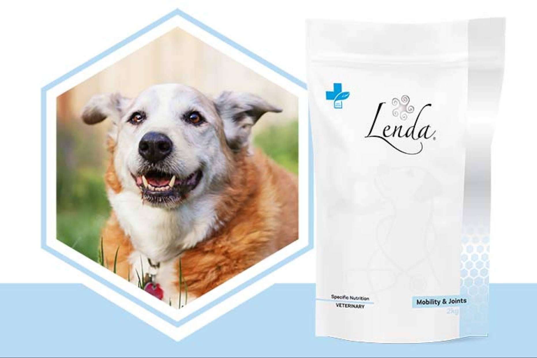 Lenda VET Nature mejora la salud articular canina