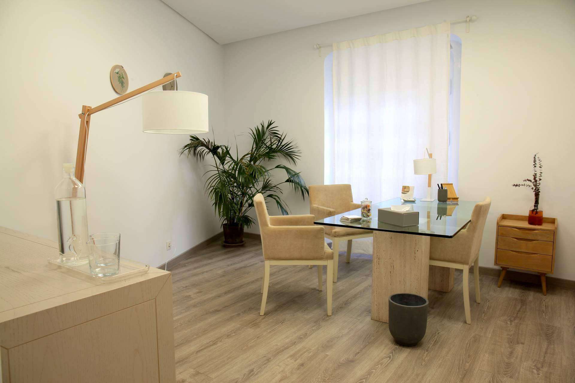 SINEWS, el instituto de terapia multilingüe con servicios en 12 idiomas