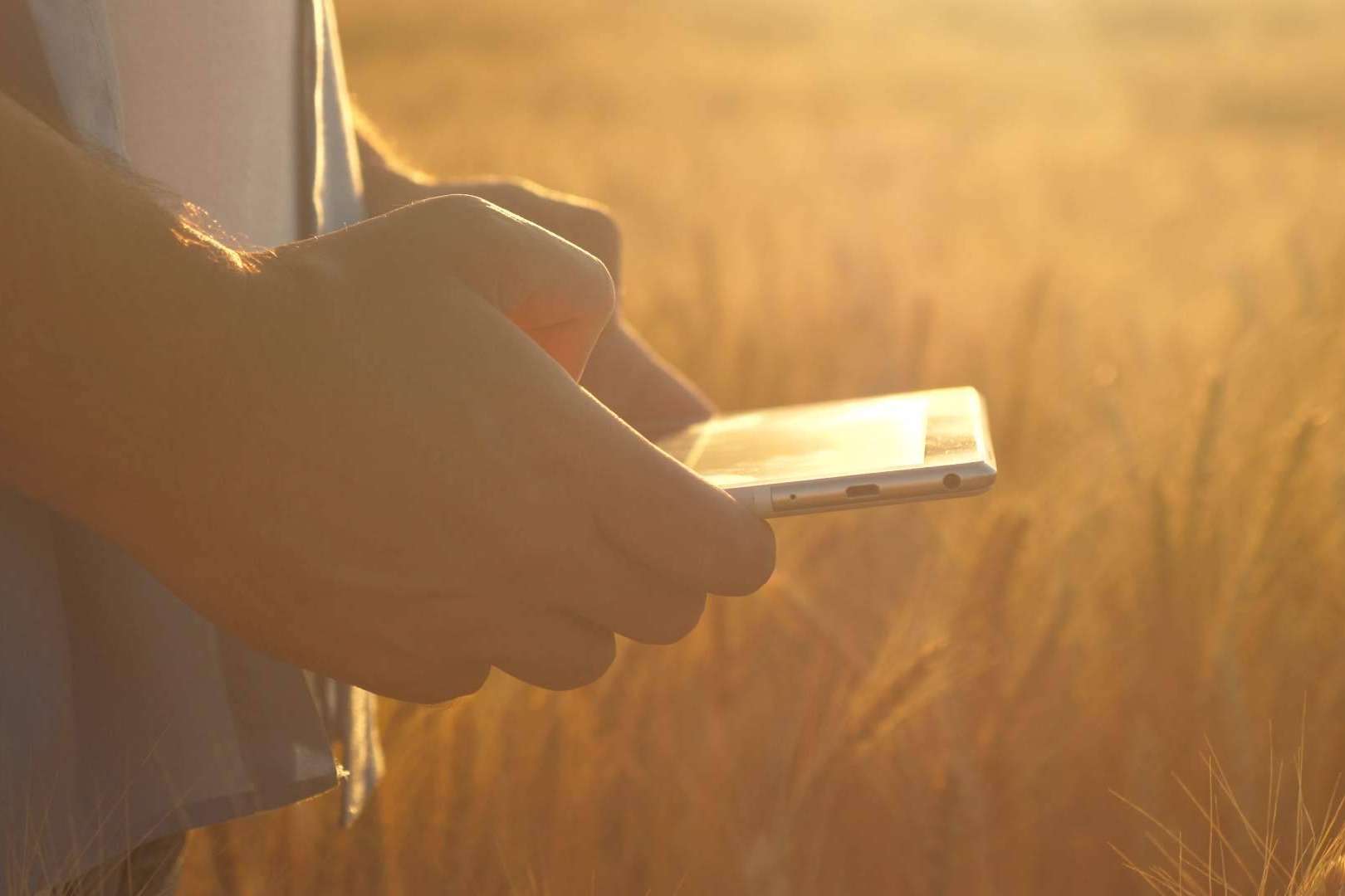 Optimizar la gestión de las explotaciones agrícolas y agropecuarias en España a través de ERP Cuadernos de Explotación, un software de Certitec