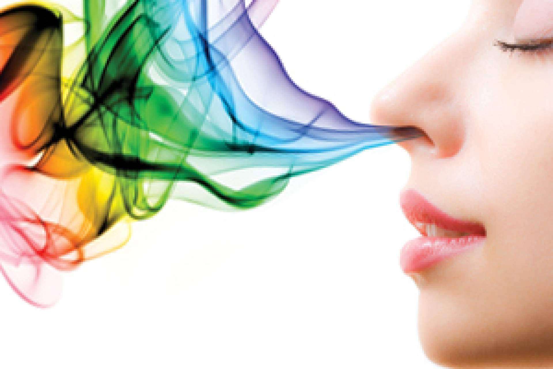Scent Emotions recalca la importancia de la aromaterapia en las tiendas y establecimientos