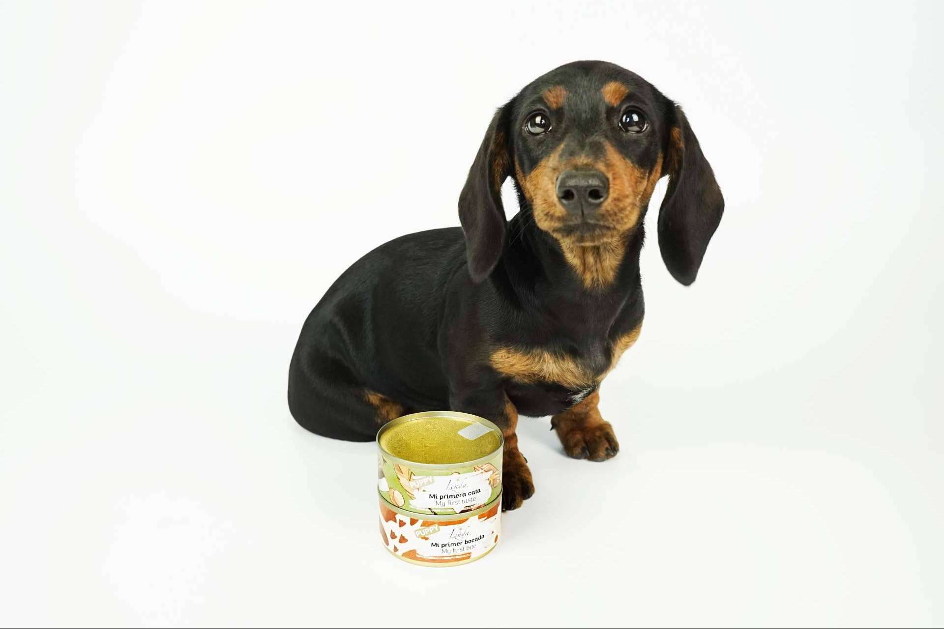 Lenda Foodie, comida de calidad y variedad para perros