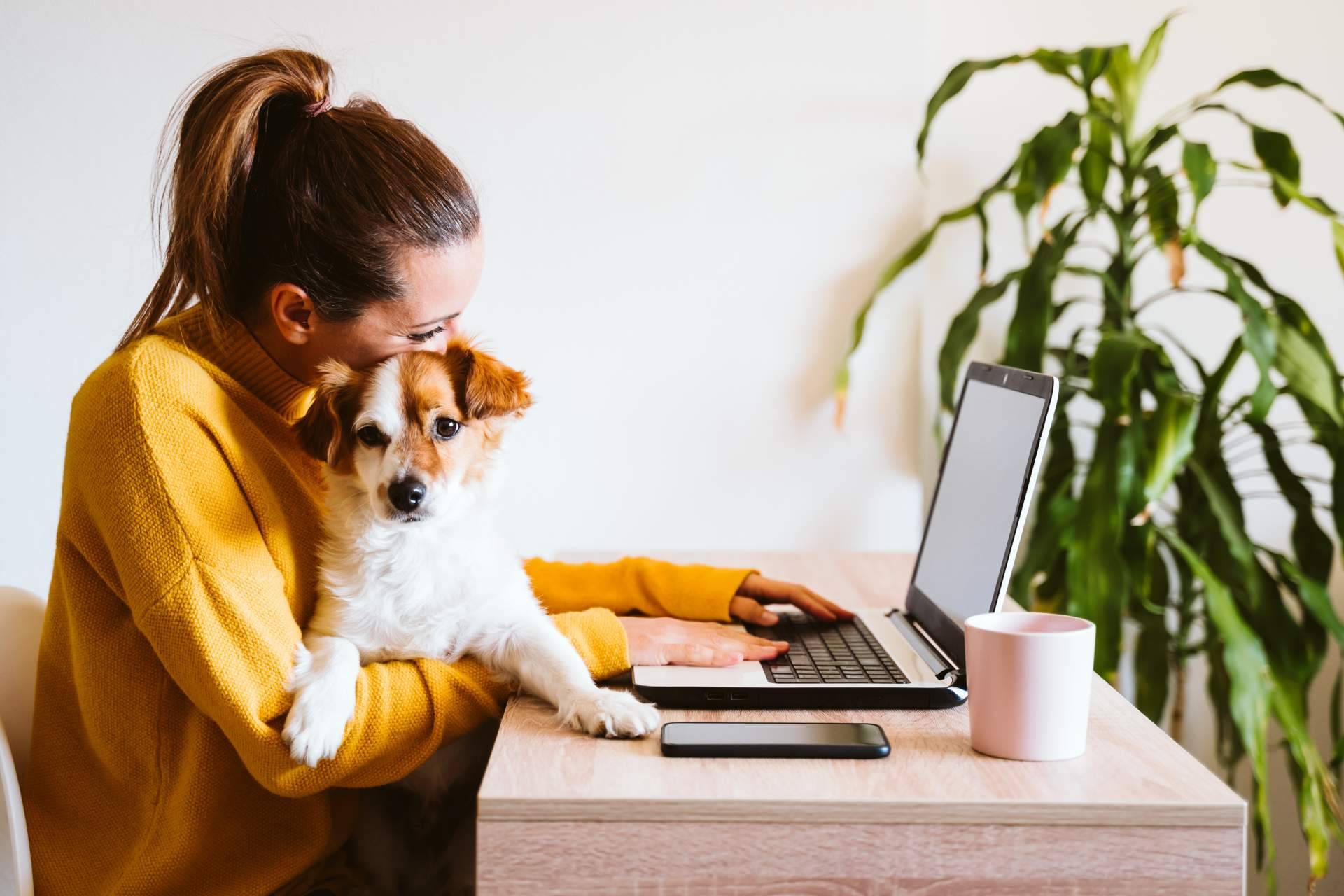 En Xiaomi Home tienen disponible el Xiaomi Book Air 13