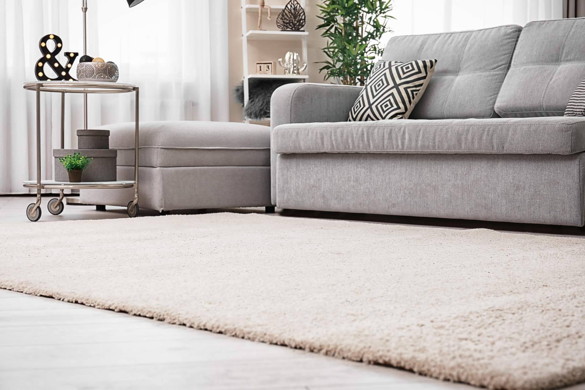 ¿Qué funciones cumplen las alfombras en cada habitación?, con Alfombras y Cortinas