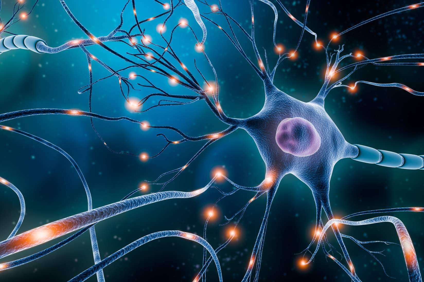 La neurociencia es una 'revolución necesaria para formar profesionales que puedan ser válidos en la sociedad', según el Director General de Aicad