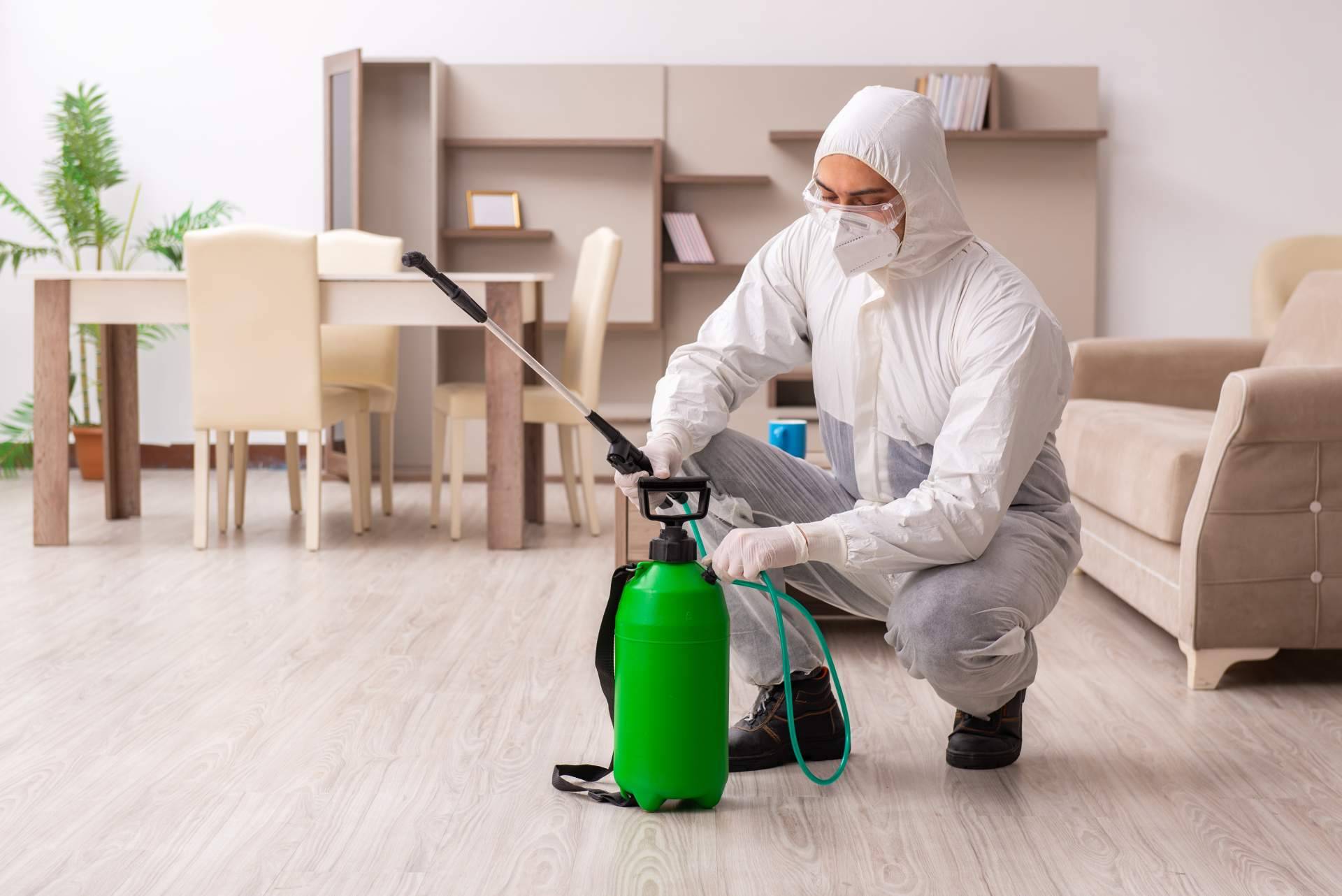 Las diferentes trampas e insecticidas para avispas disponibles en Productos Antiplagas
