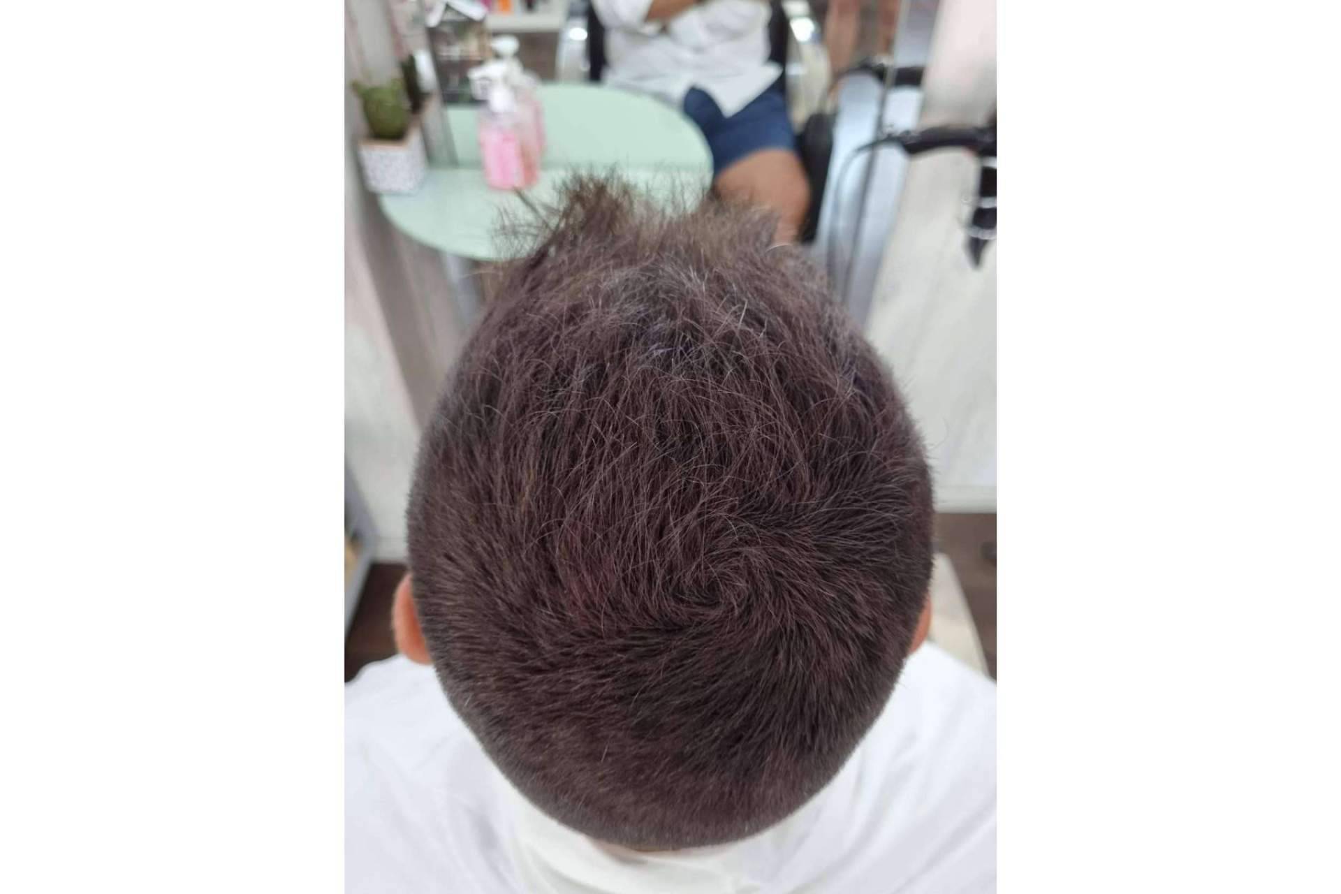 Lion Hair habla sobre las fibras capilares