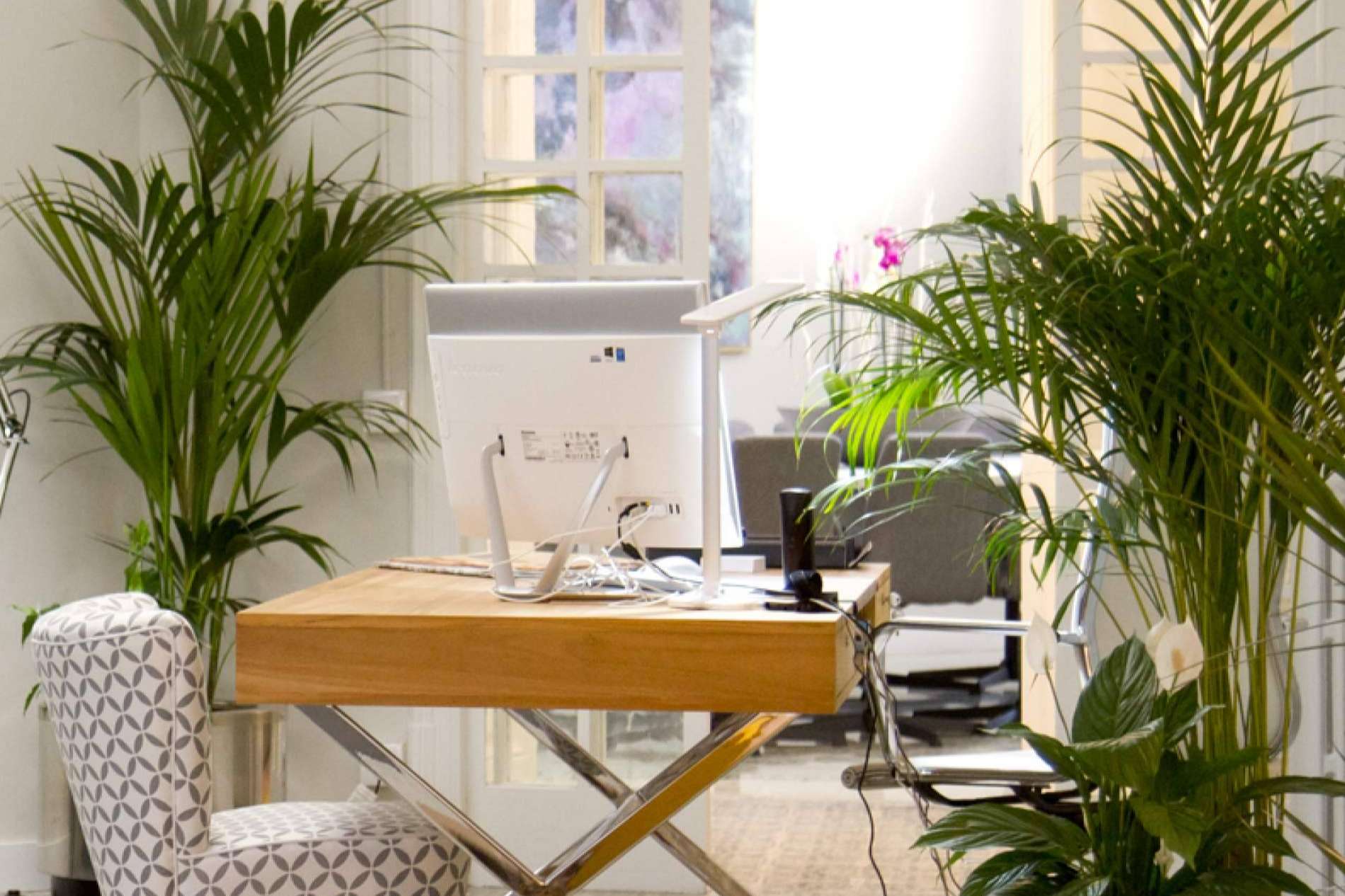 ¿Cuáles son los principales beneficios del coworking? WEKOW