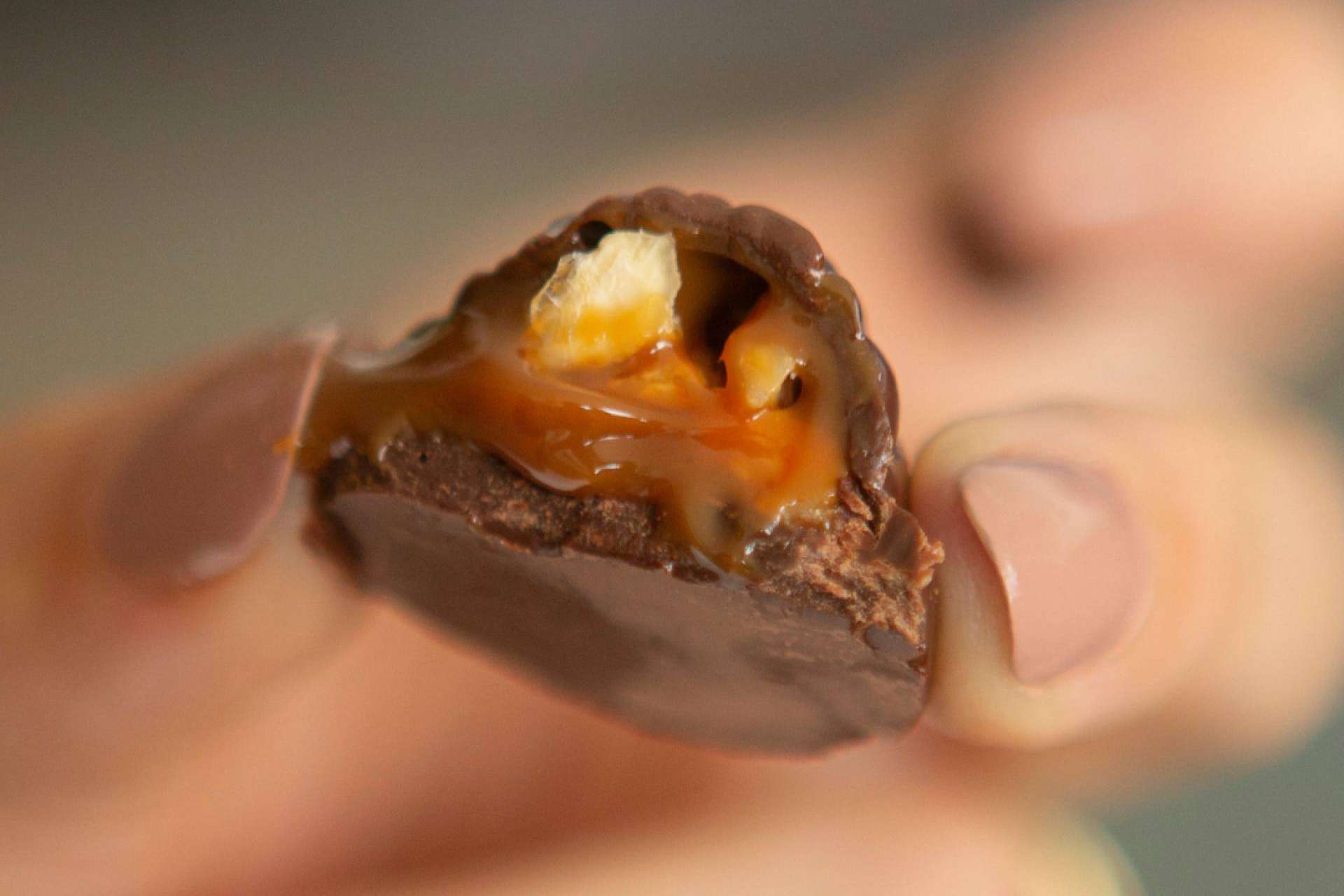 La nueva marca de bombones de chocolate con forma de nuez cada vez más aclamada en Europa, Nuche