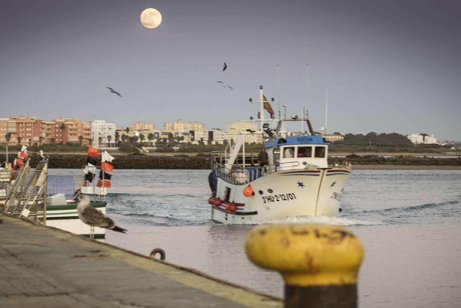 ¿Cuáles son las últimas novedades del pescado de lonja de Lonja de Ayamonte?