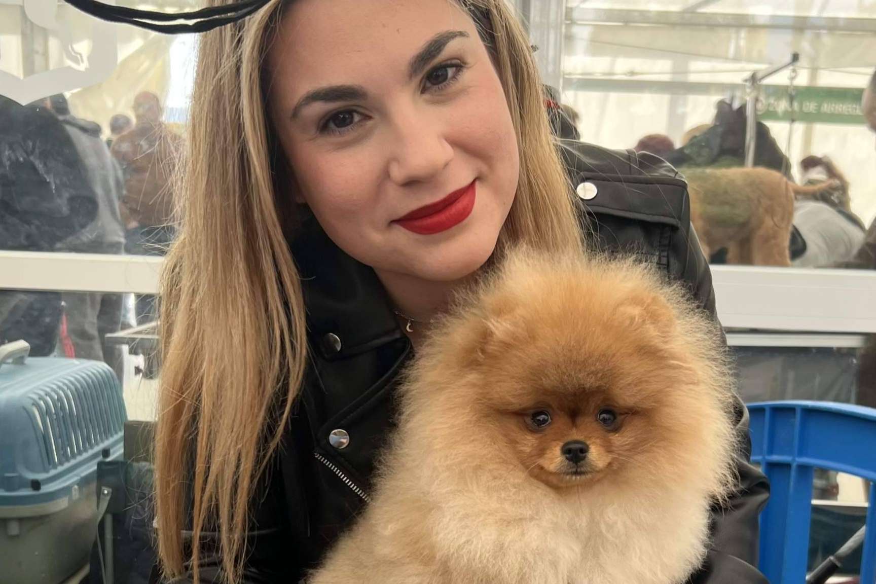 Un criadero de perros pequeños que destaca por su amor por los animales, Los Luceros de Vandalia